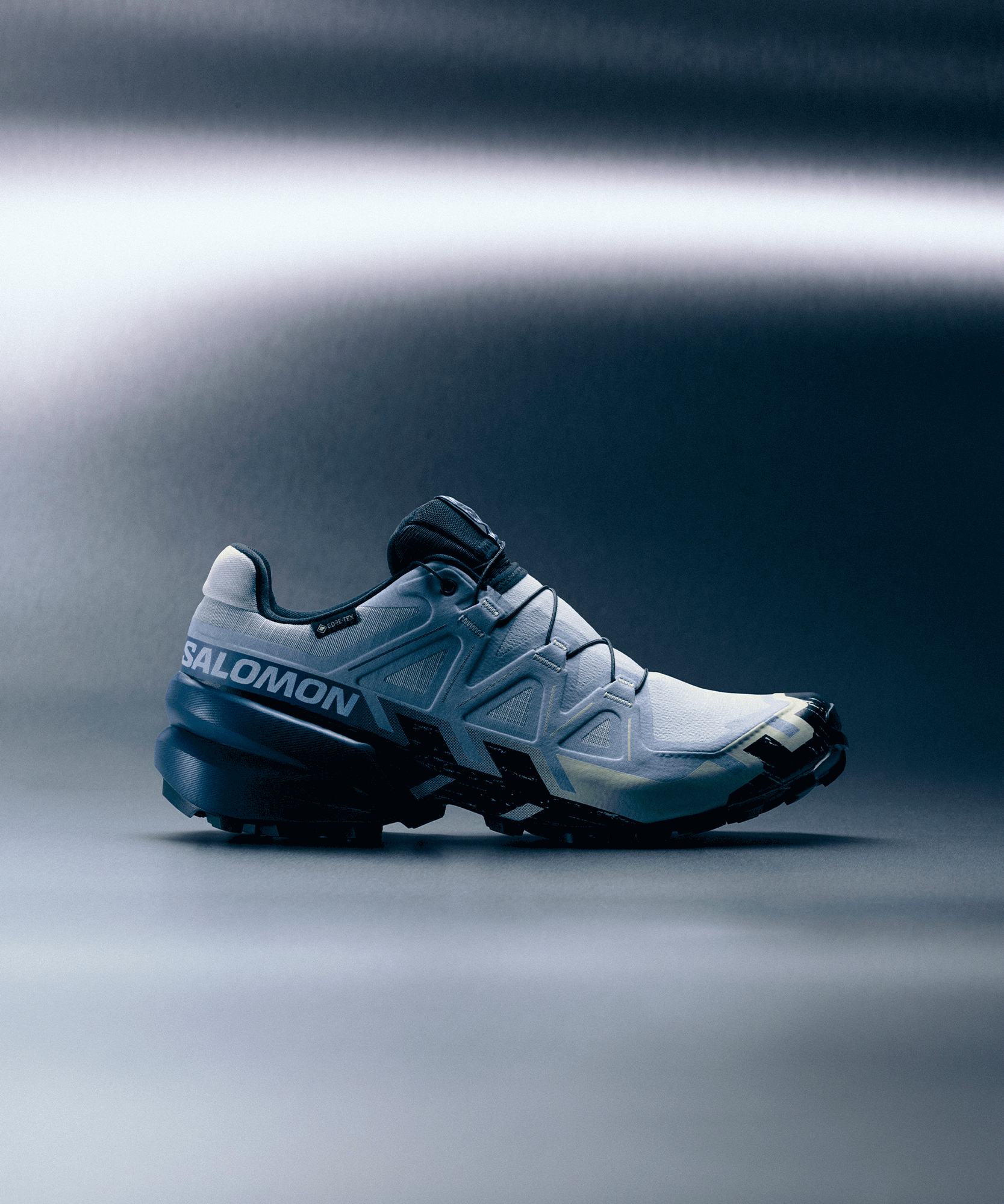Salomon Speedcross 6 Storm au meilleur prix