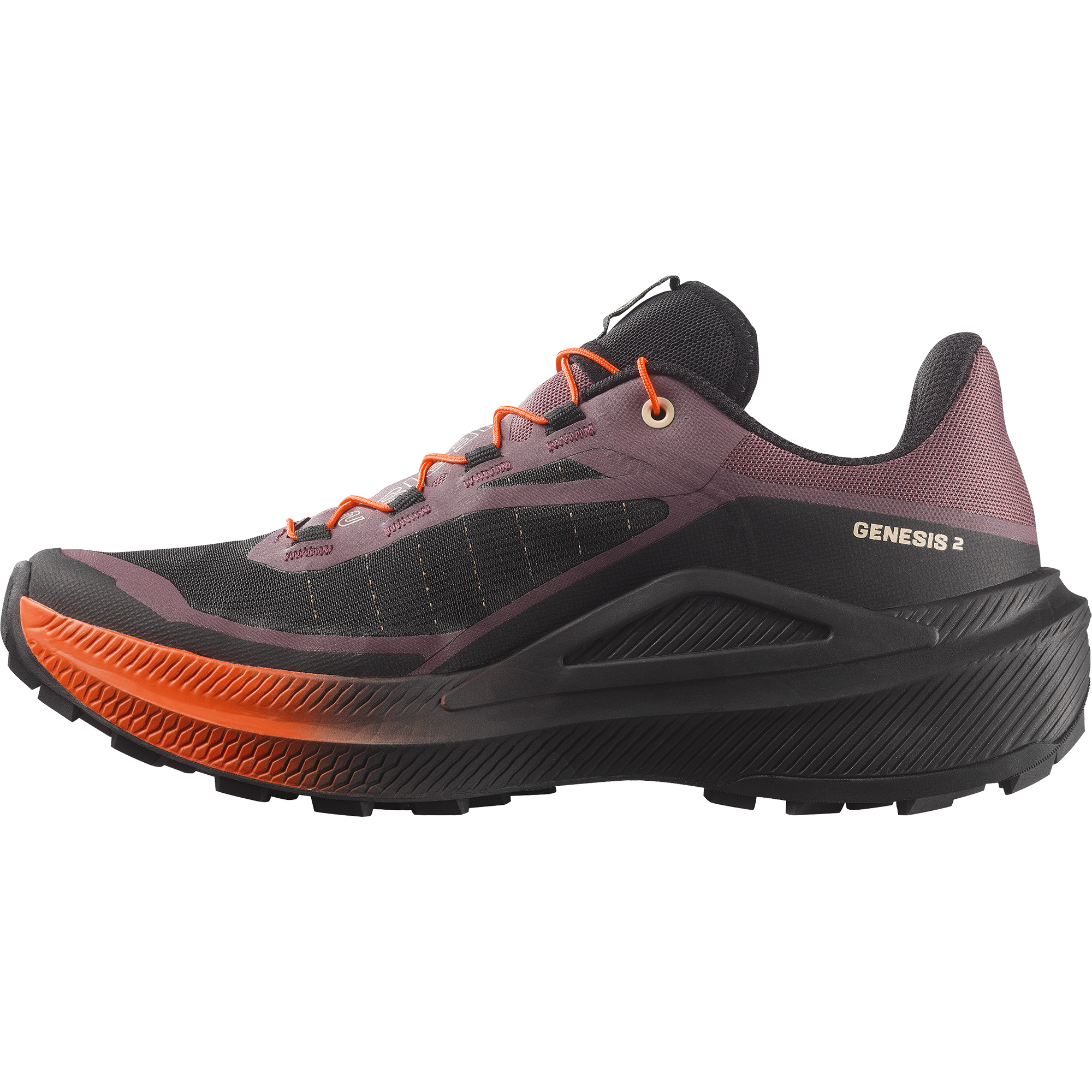 GENESIS 2 Grey | Salomon