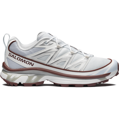 Кроссовки Salomon XT-6 Expanse, цвет: Шоколадный / Серебряный