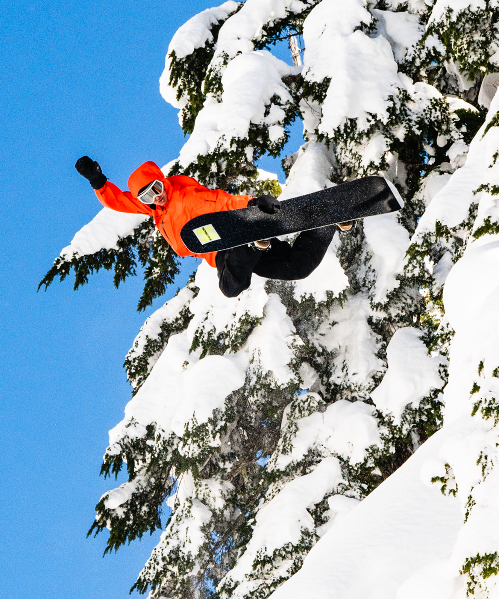 HPS - LOUIF PARADIS Unisex - Freeride | Salomon