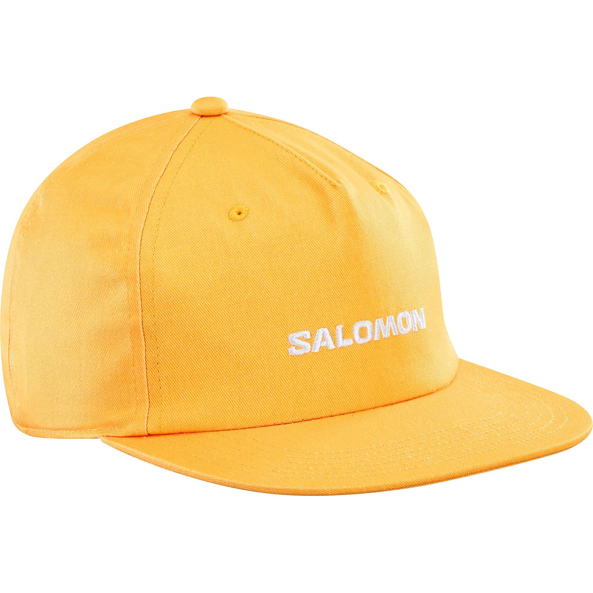 CAP FLAT Blue | Salomon