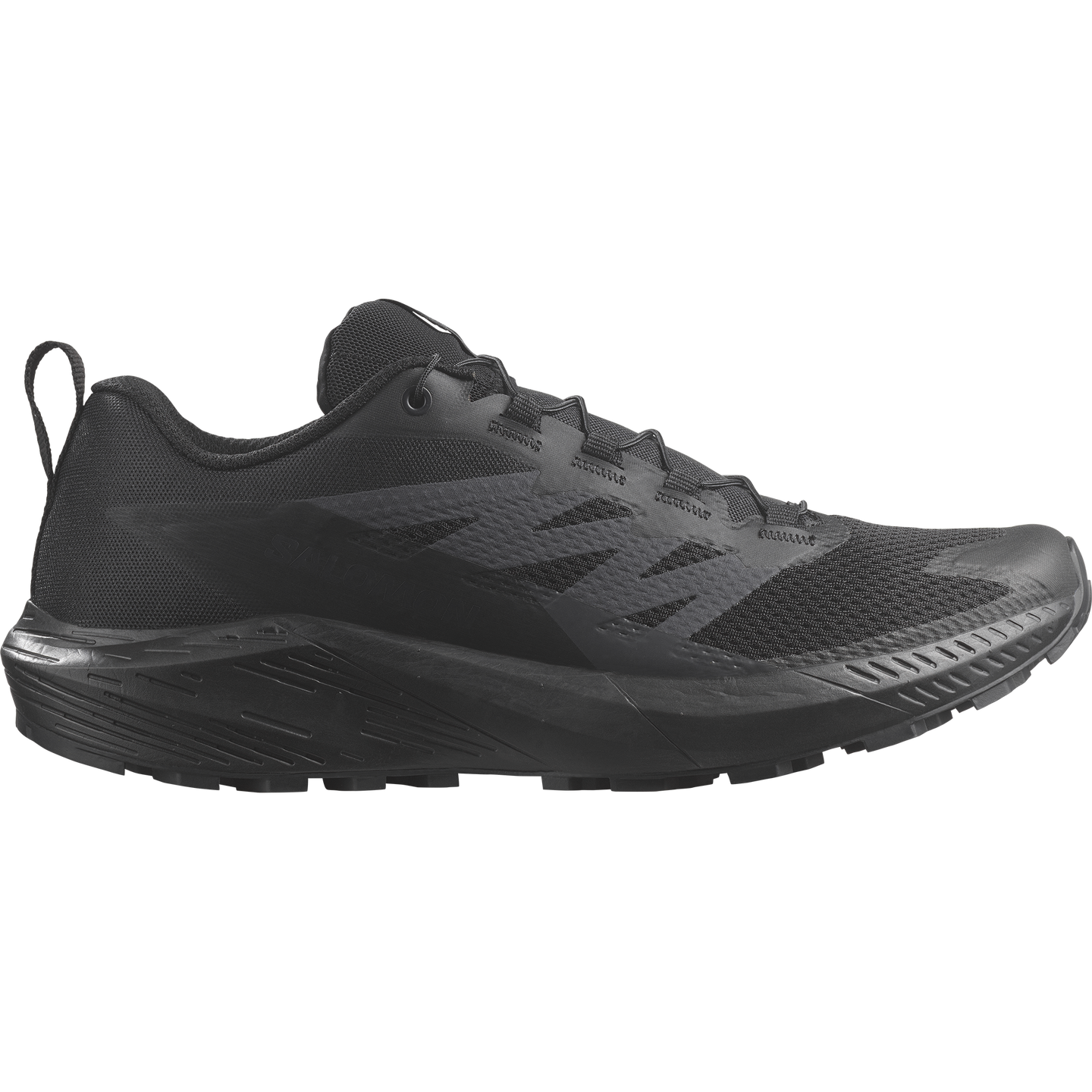 Кроссовки Salomon Sense Ride 5 SR, цвет: Чёрный — фото 1