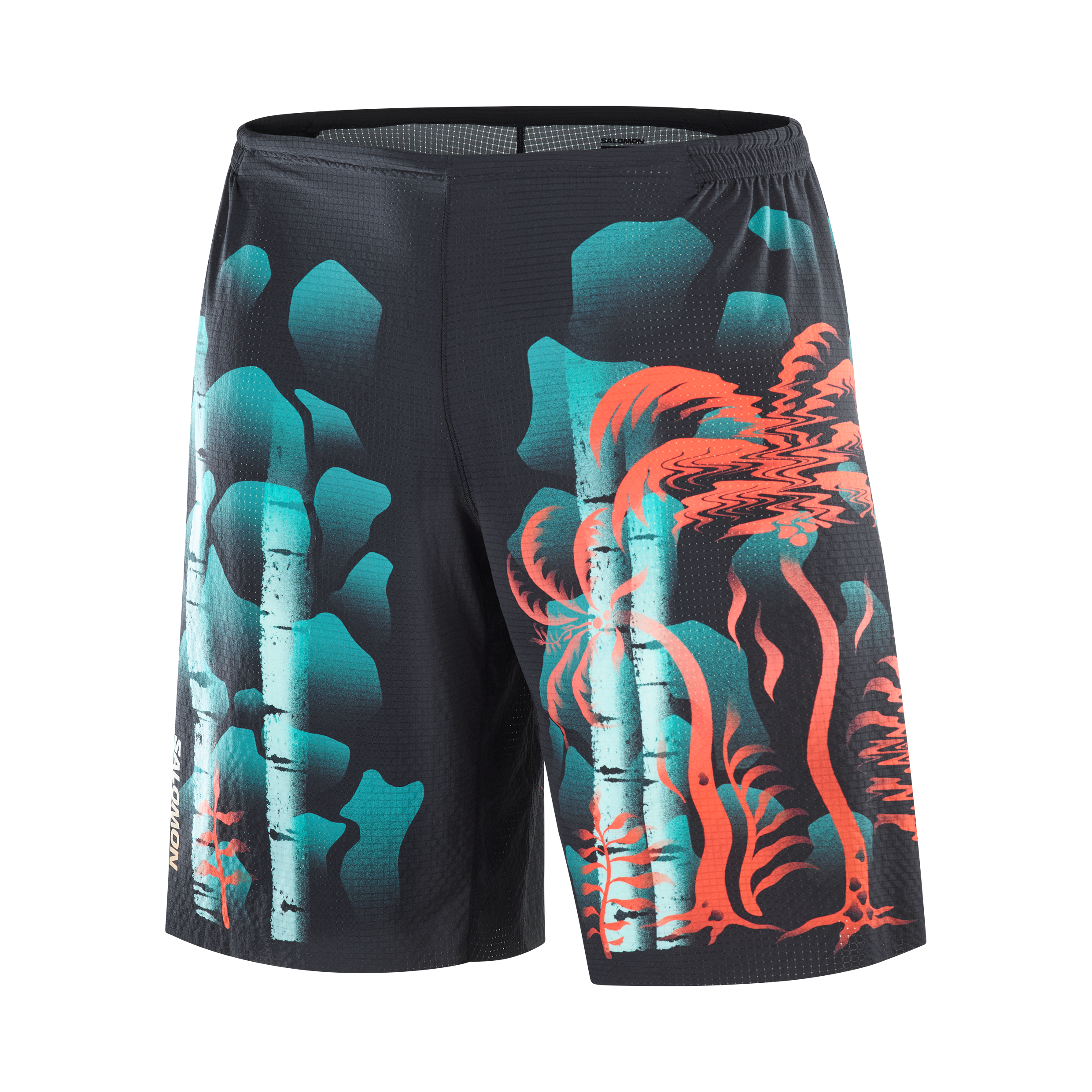 レディース　ショートスキー　ROXY SALOMON DOLOMITE レディース ショートスキー ROXY SALOMON DOLOMITE レディースショート