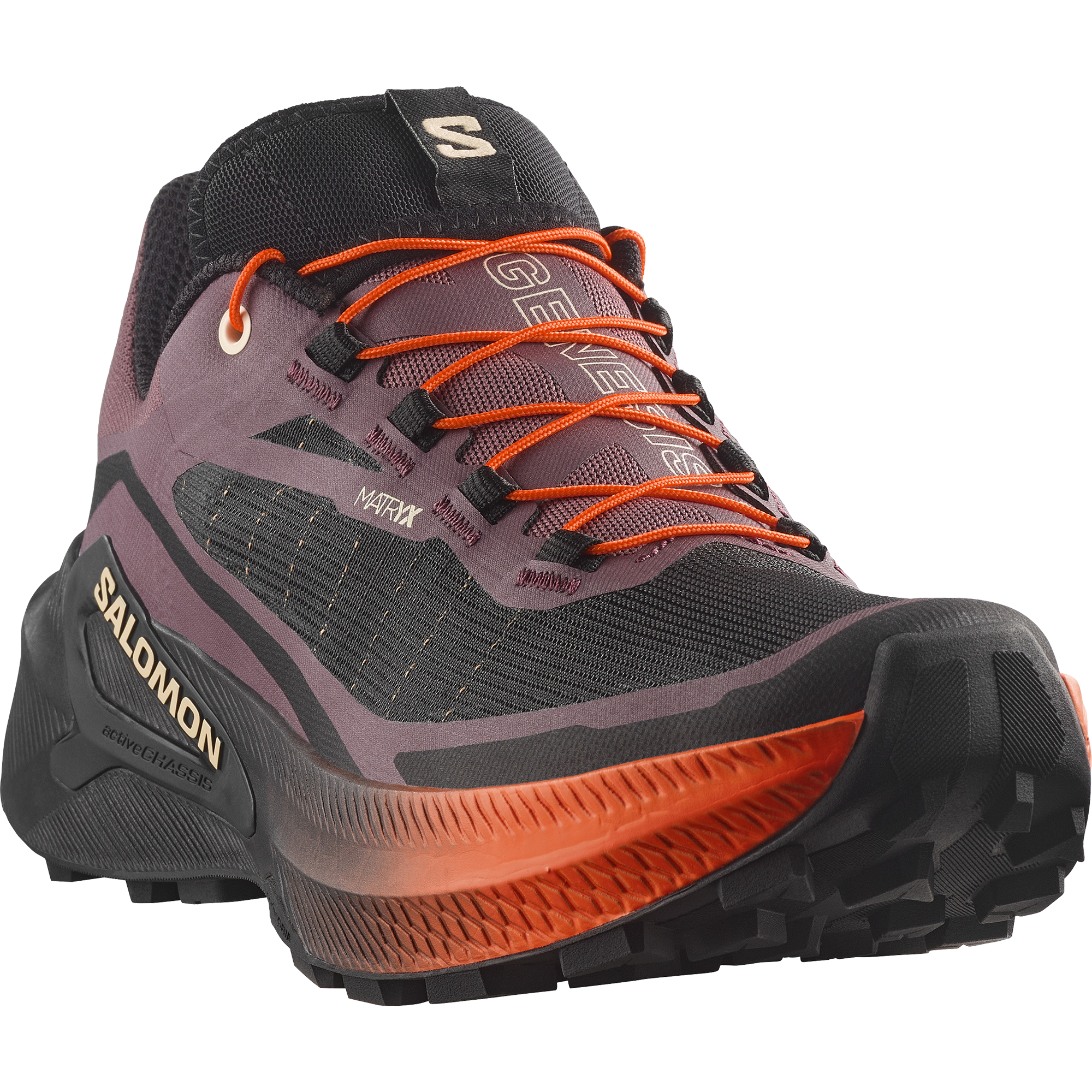 GENESIS 2 Grey | Salomon