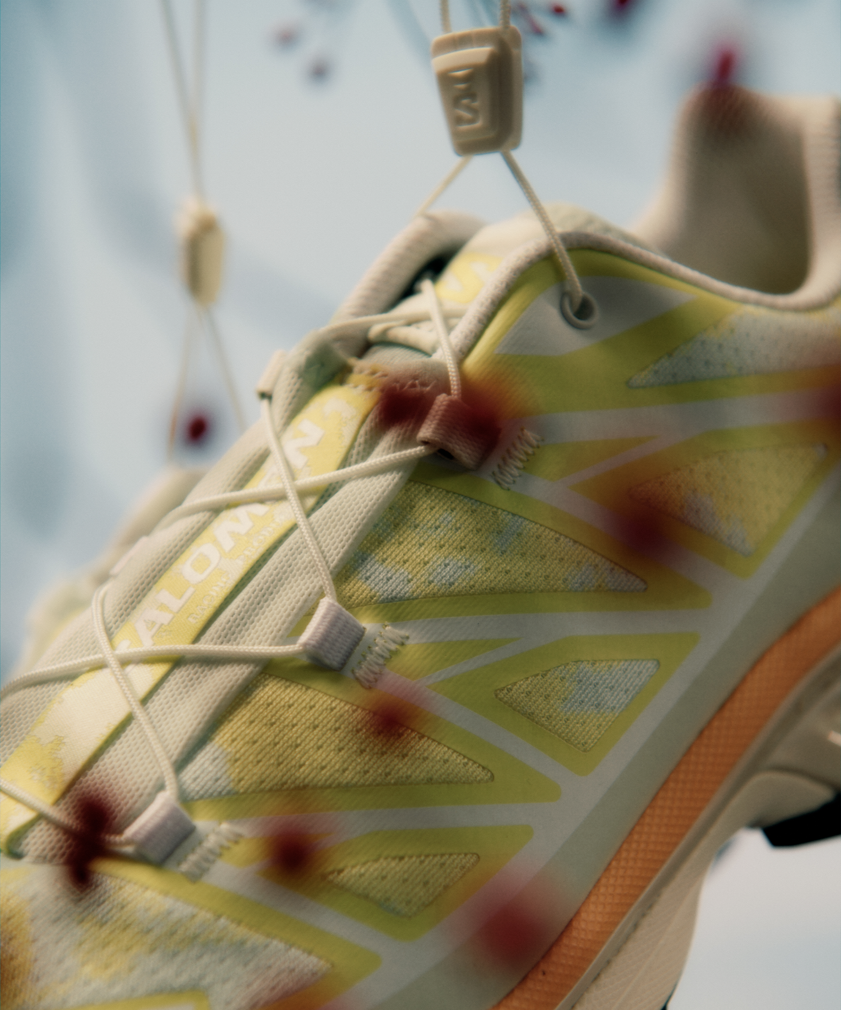 XT-6 ALPEN BLOSSOM Grey | Salomon