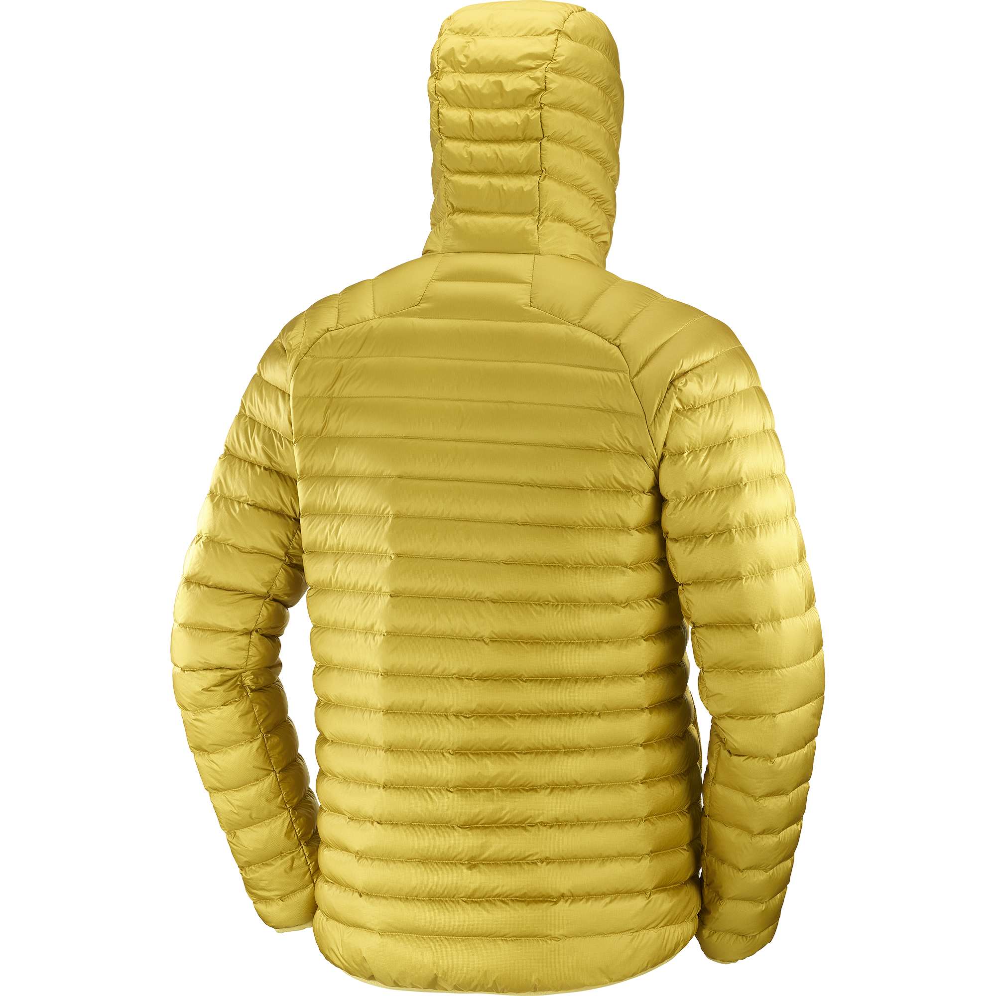 ELIXIR MICRO DOWN Men's Hooded Down Jacket | Salomon