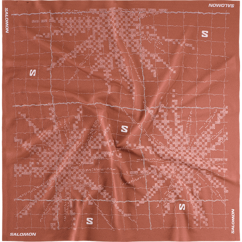 Головные уборы Salomon Bandana Graphic, цвет: Умбра