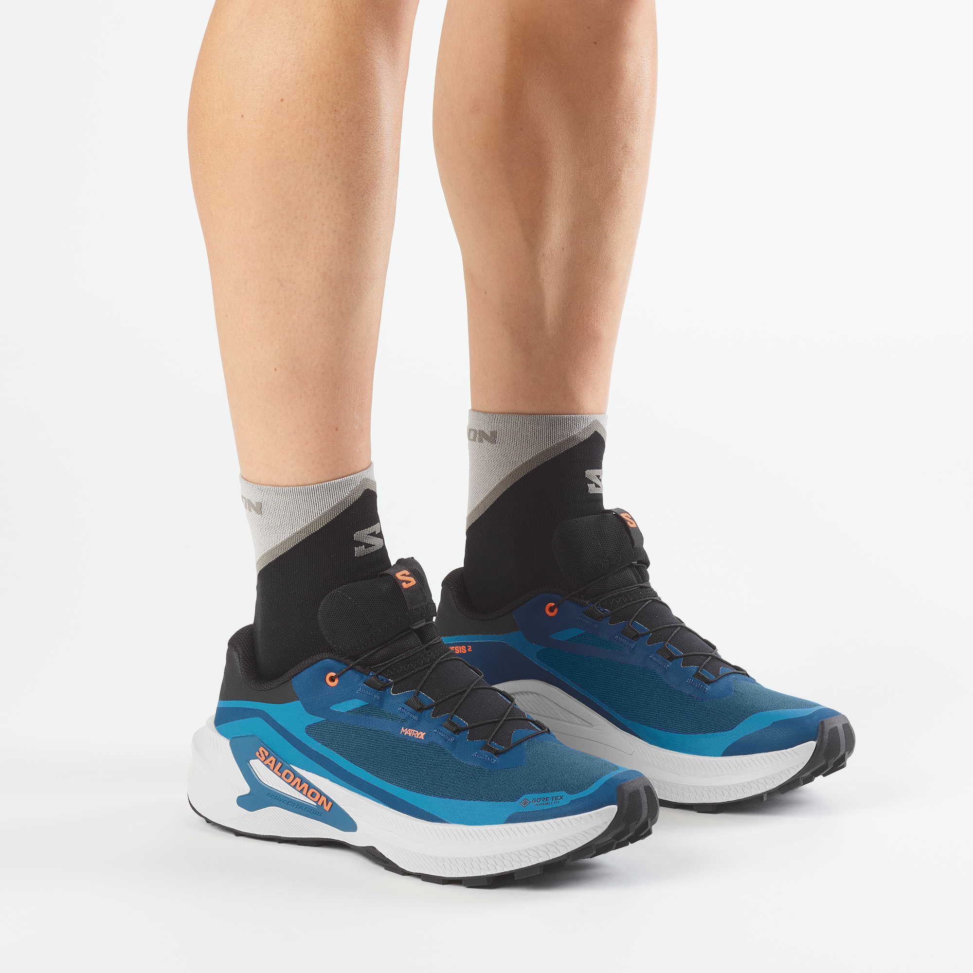 Salomon Genesis 2