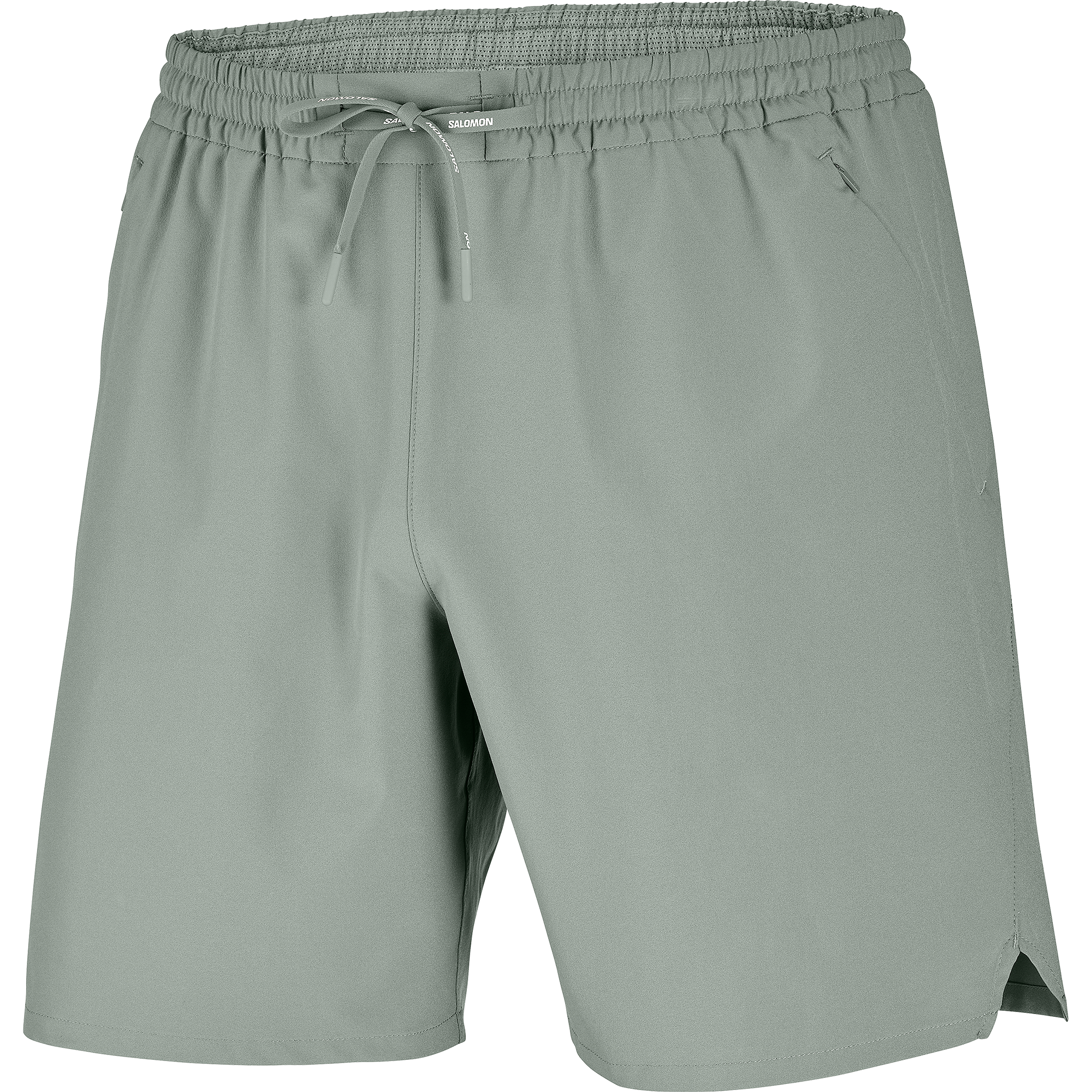 Castor Gray