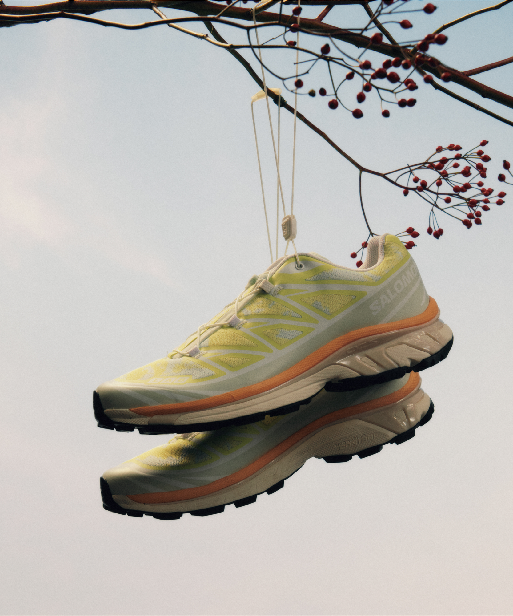 XT-6 ALPEN BLOSSOM Grey | Salomon