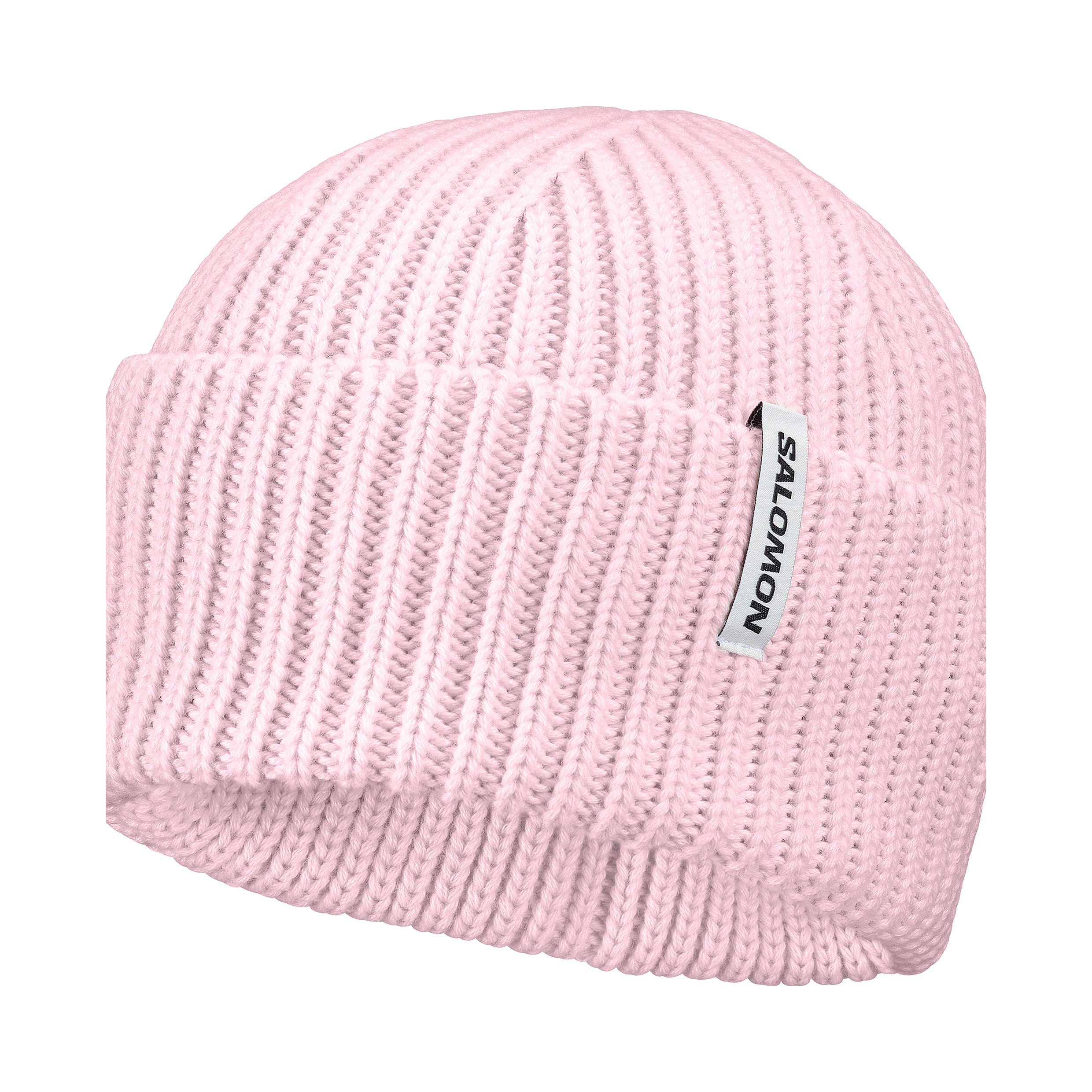 SNOWBIRD Pink | Salomon