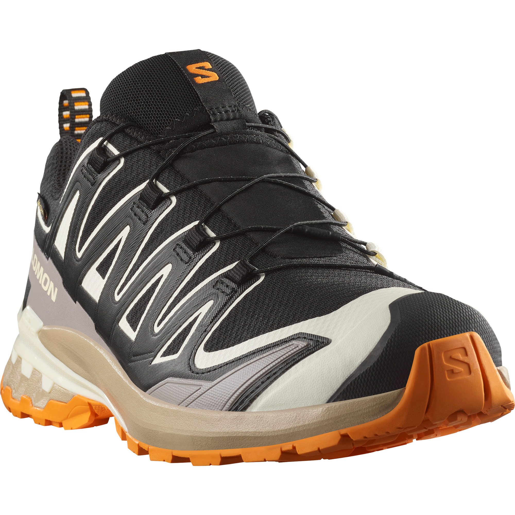 XA PRO 3D V9 GORE-TEX Black | Salomon