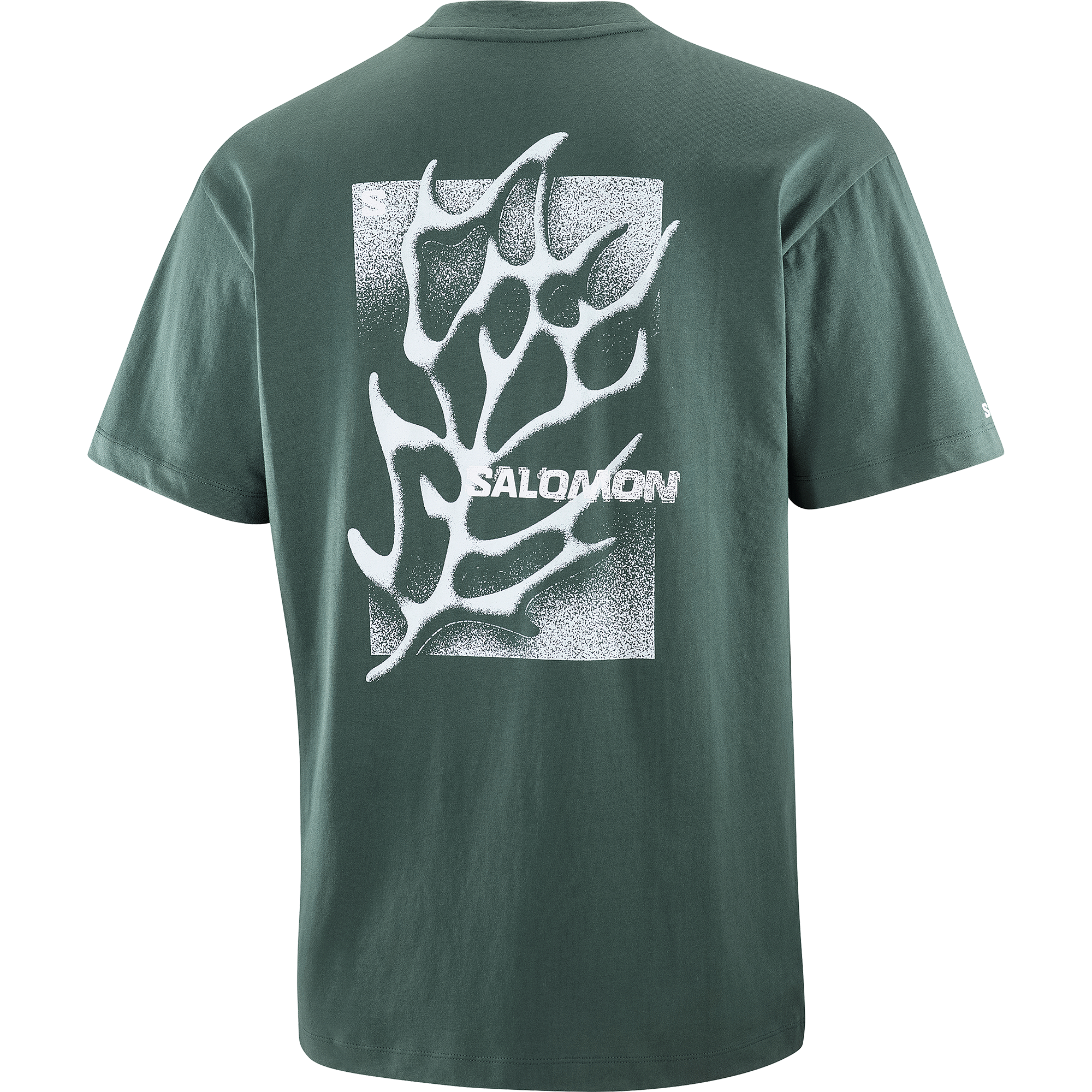 FREESTYLE Green | Salomon