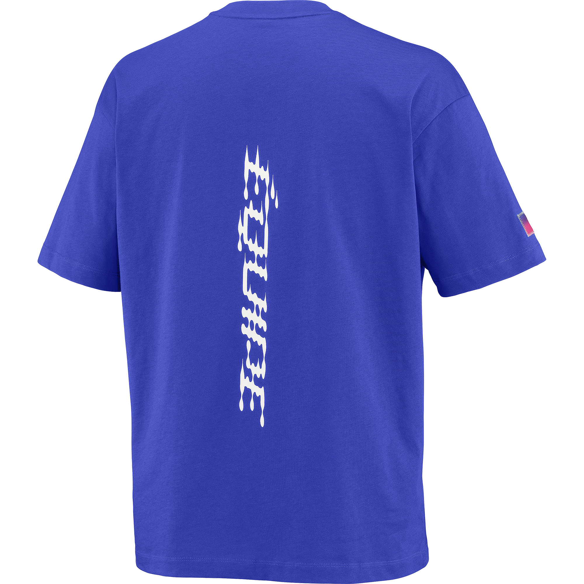 EQUIPE Men's Short Sleeve T-Shirt | Salomon