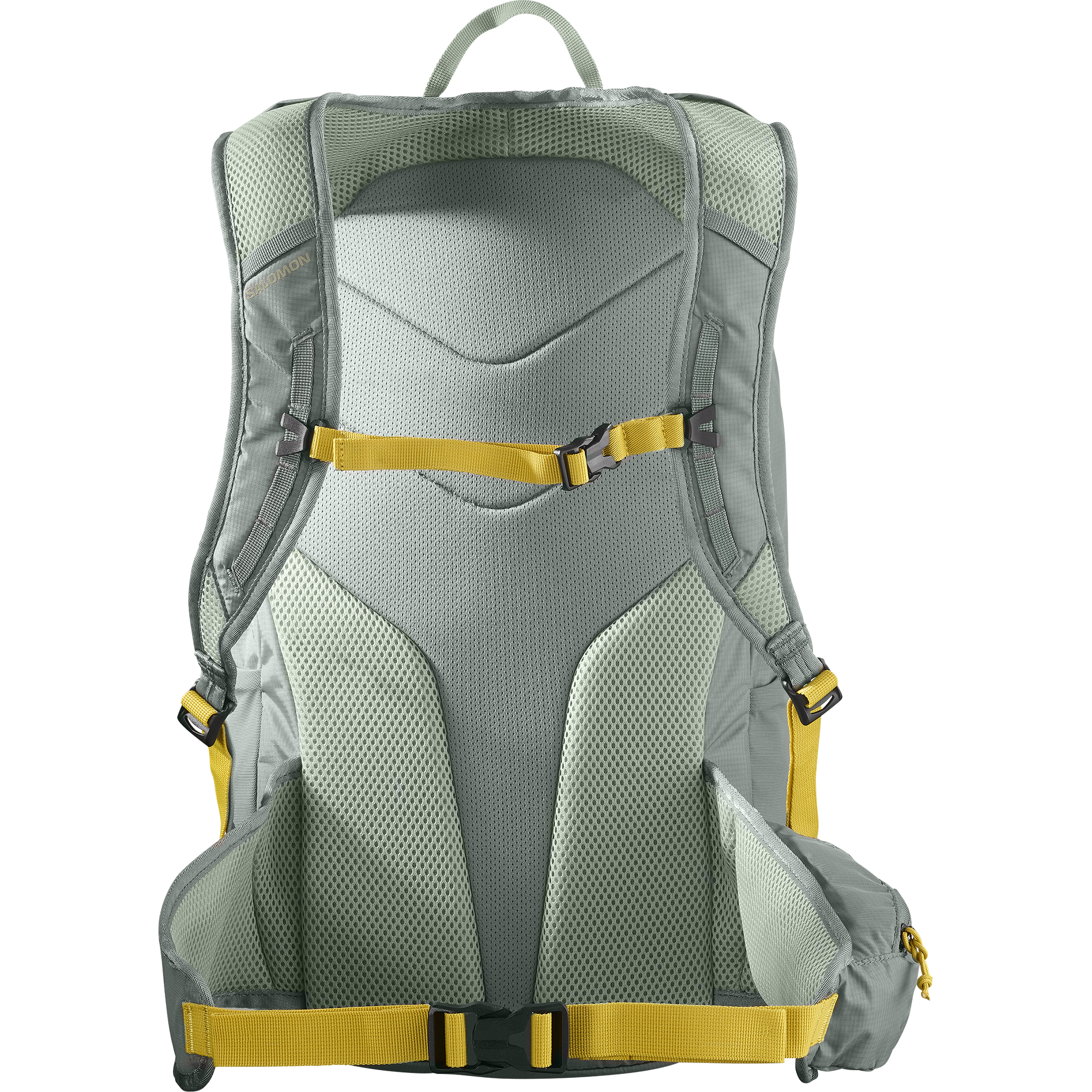 TRAILBLAZER 20 Green | Salomon