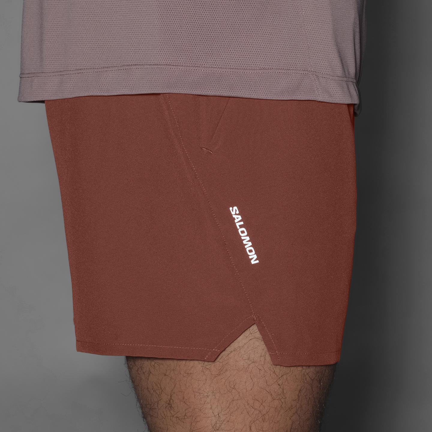 Мужские шорты Salomon SHAKEout Core, цвет: Умбра — фото 3