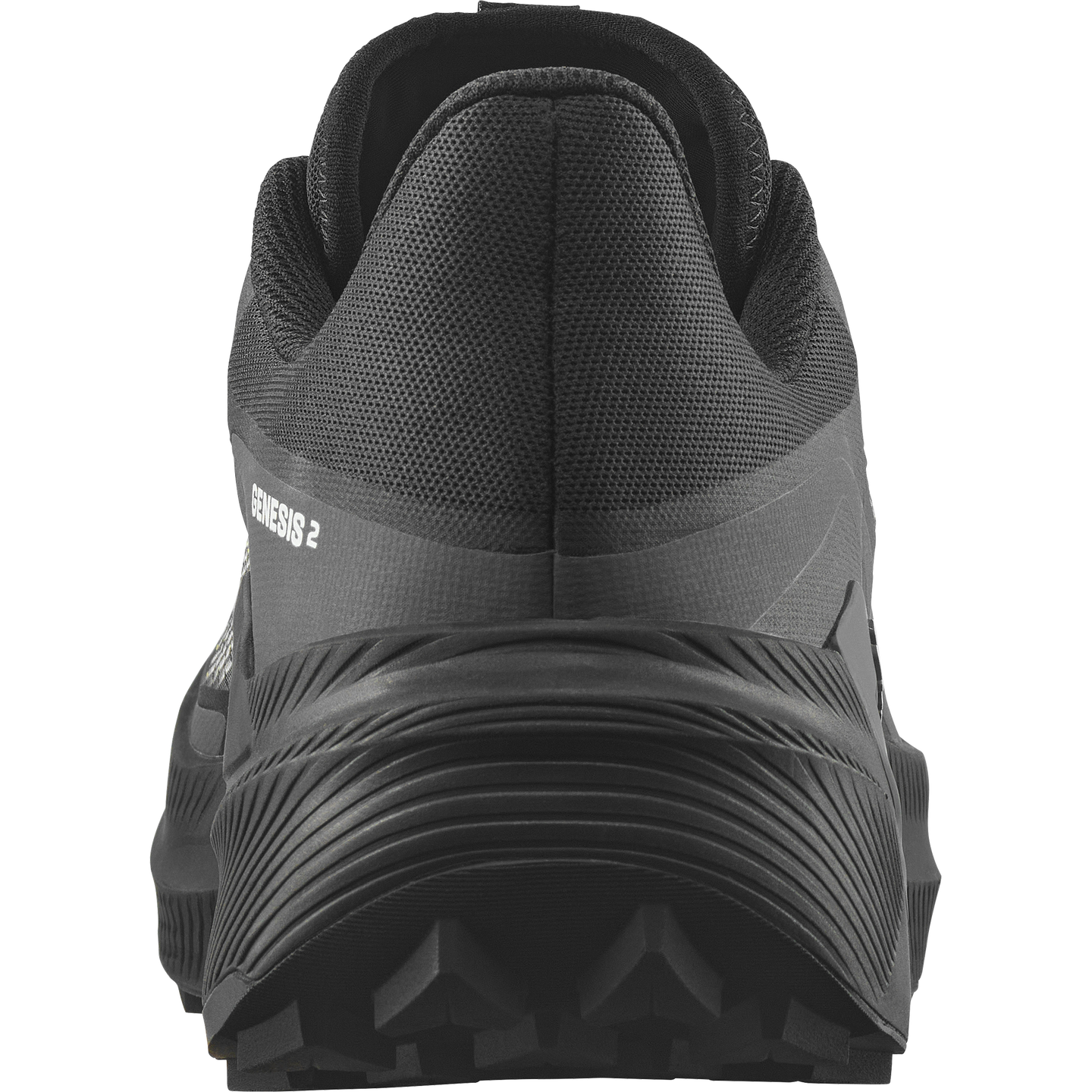 Мужские кроссовки Salomon Genesis 2, цвет: Чёрный / Белый — фото 5