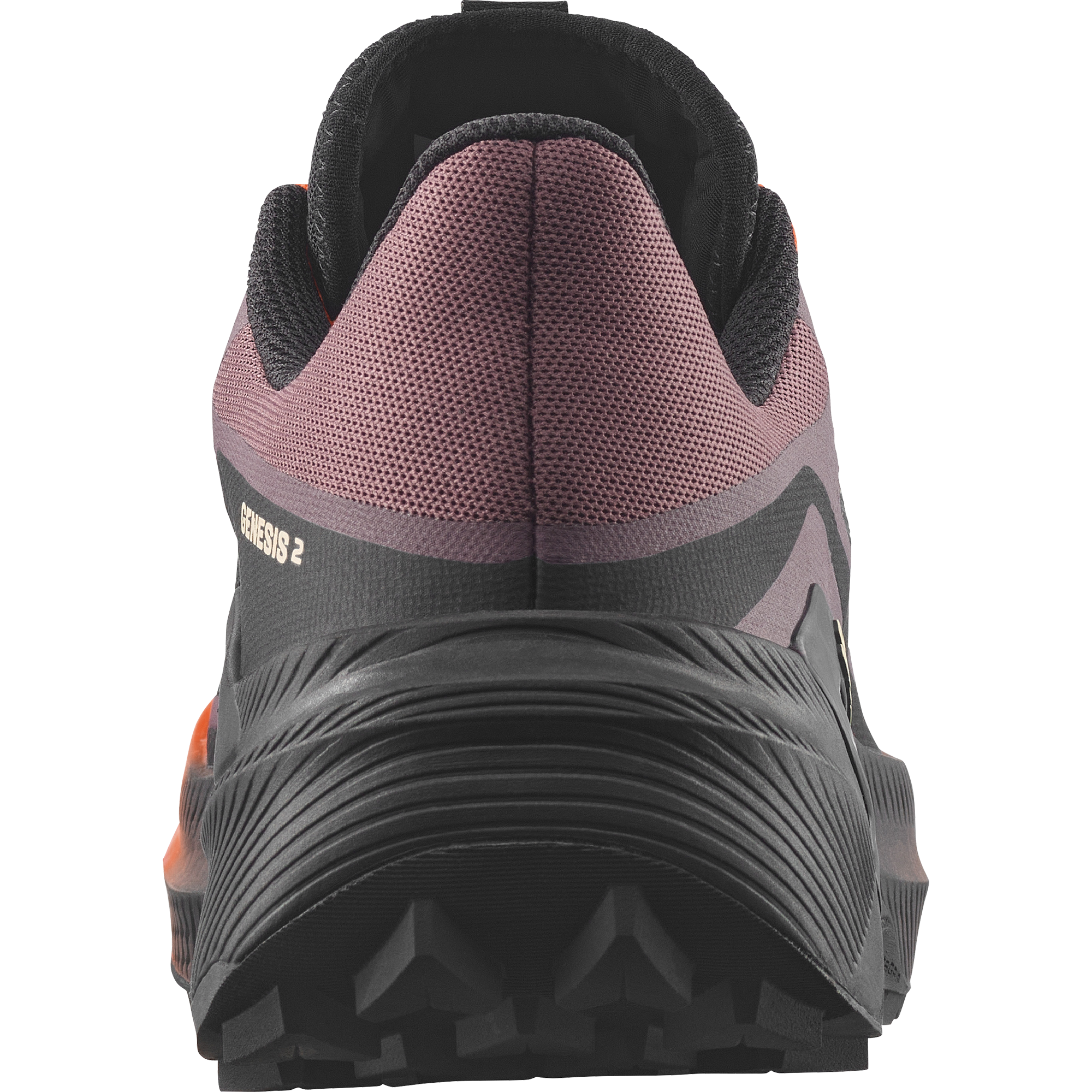 Мужские кроссовки Salomon GENESIS 2 — фото 6