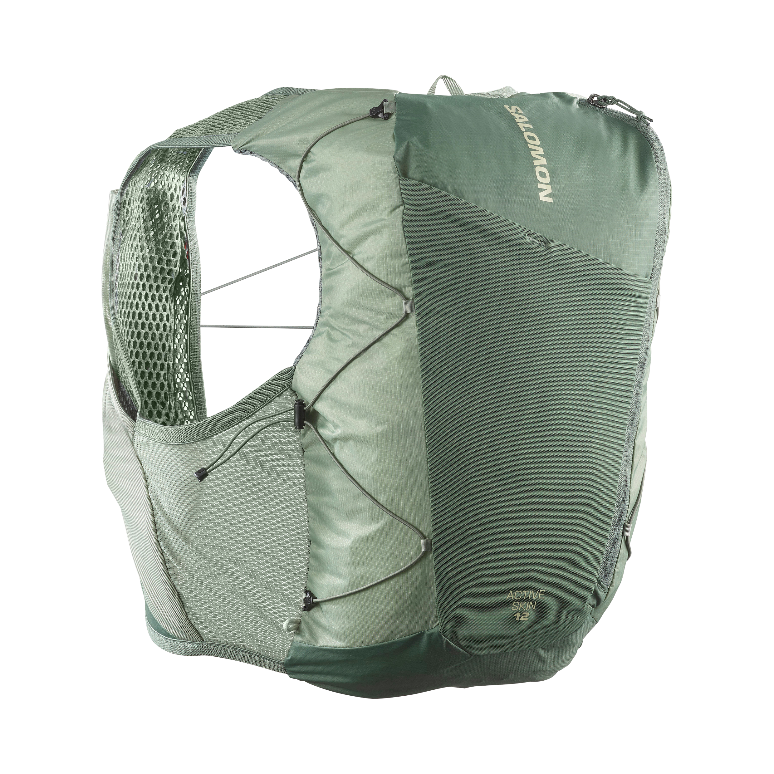 ACTIVE SKIN 12 NO FLASKS Green | Salomon