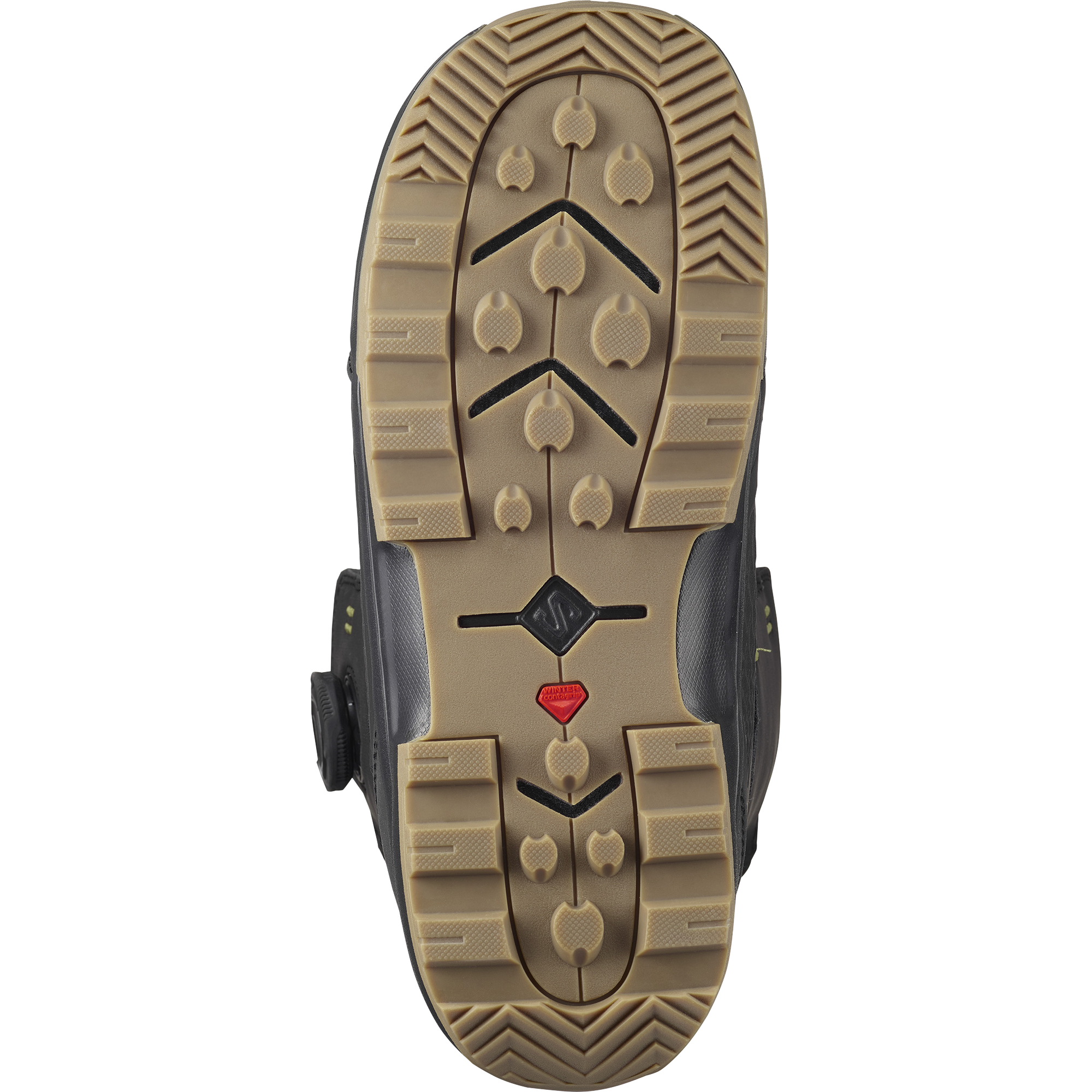 SALOMON ECHO DUAL BOA WIDE ダブルボア ワイドフィット Salomon 『 ECHO DUAL BOA WIDE 』 24-25 snowboard