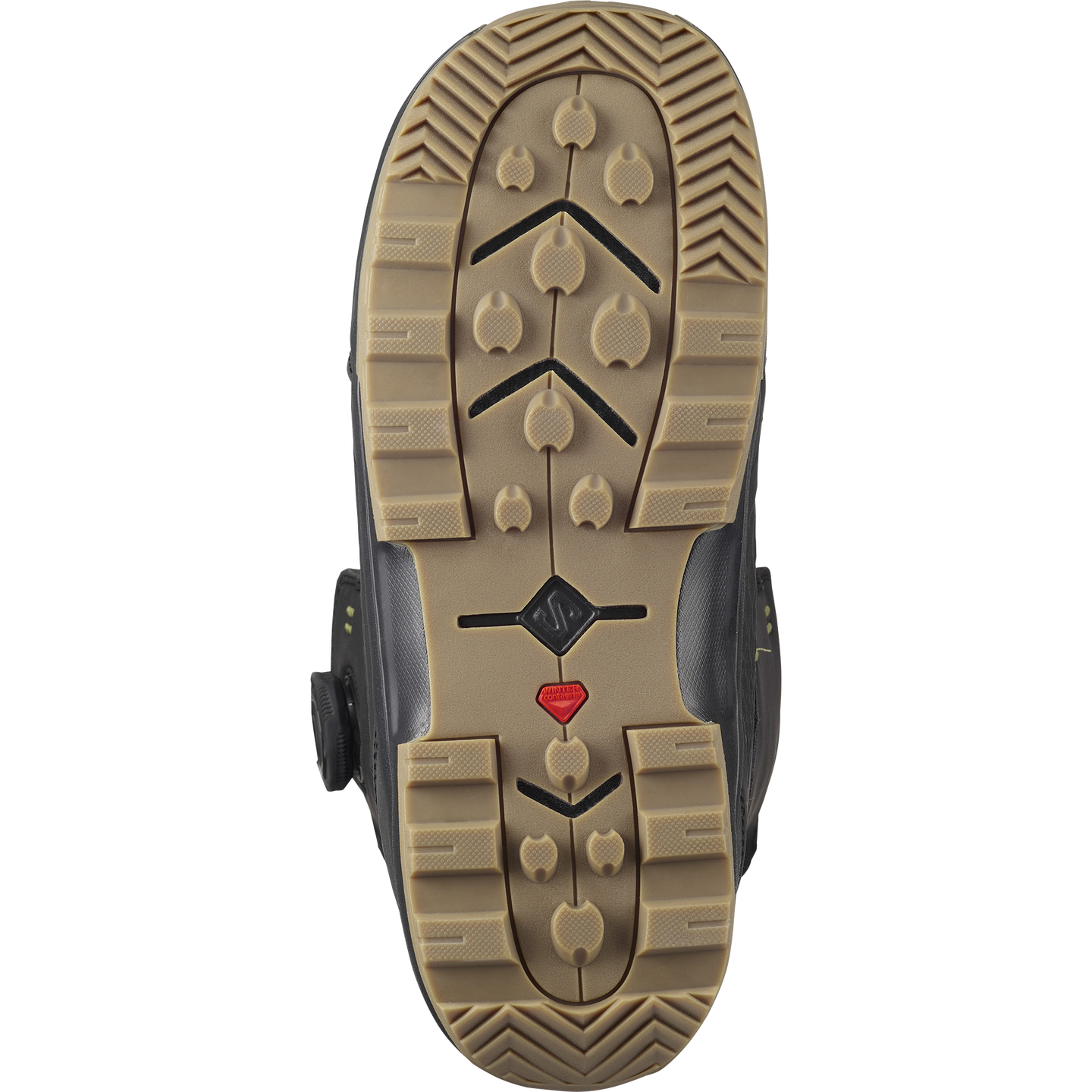 Мужские ботинки для сноуборда Salomon Echo Dual Boa®, цвет: Чёрный / Глубокий зелёный — фото 2