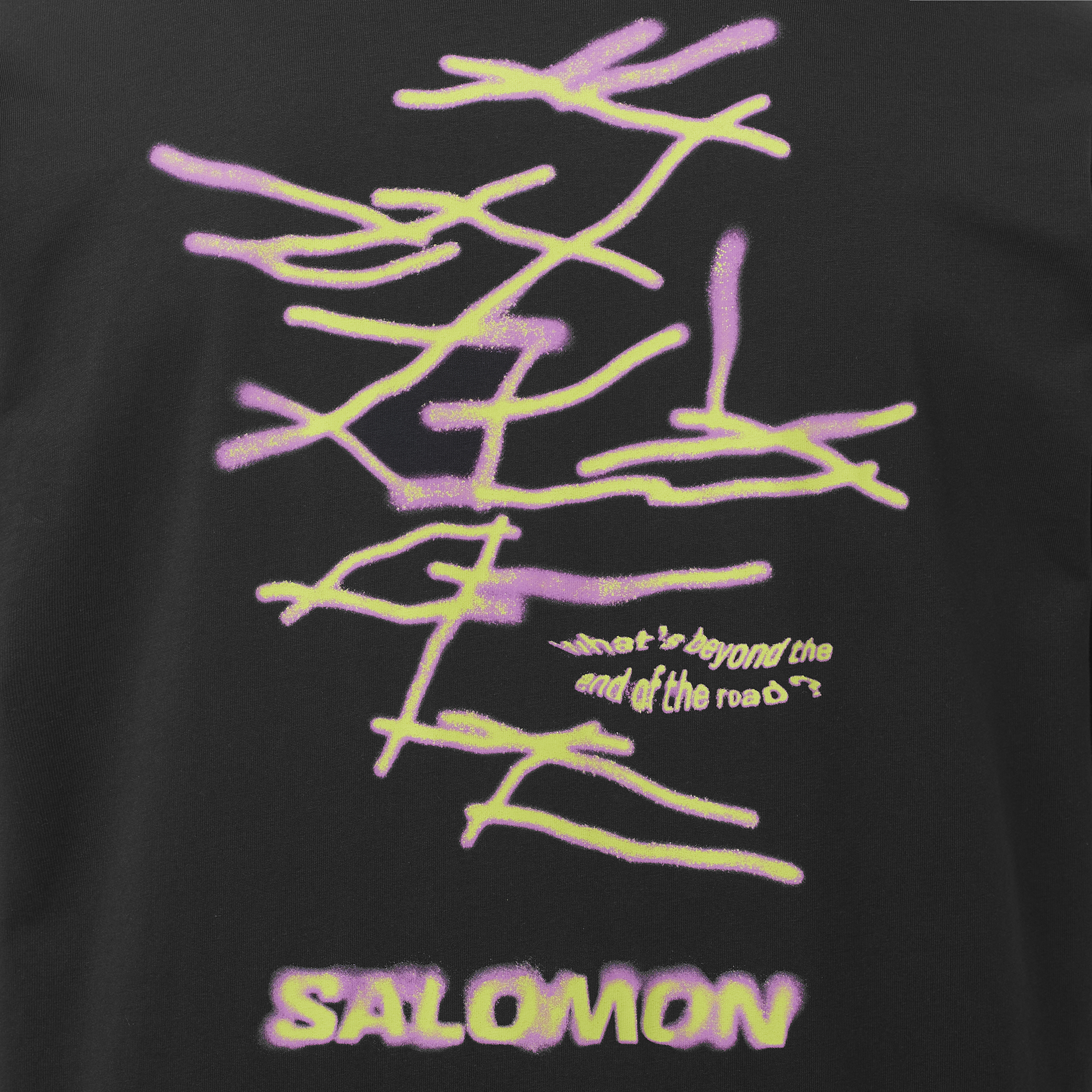 WILD RAYS GRAPHIC Black | Salomon