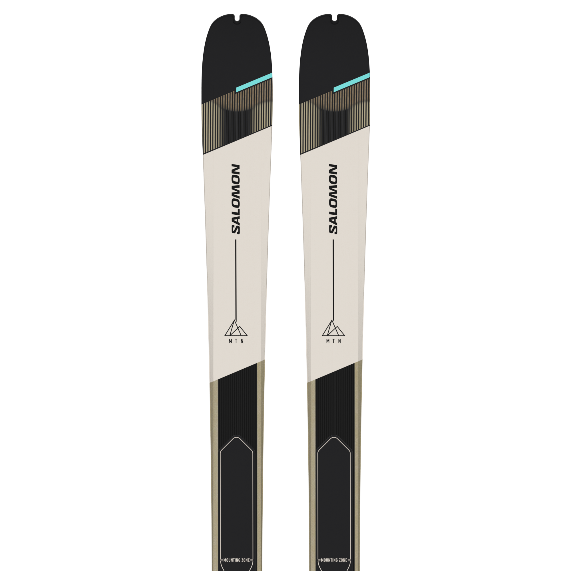 Category Skis