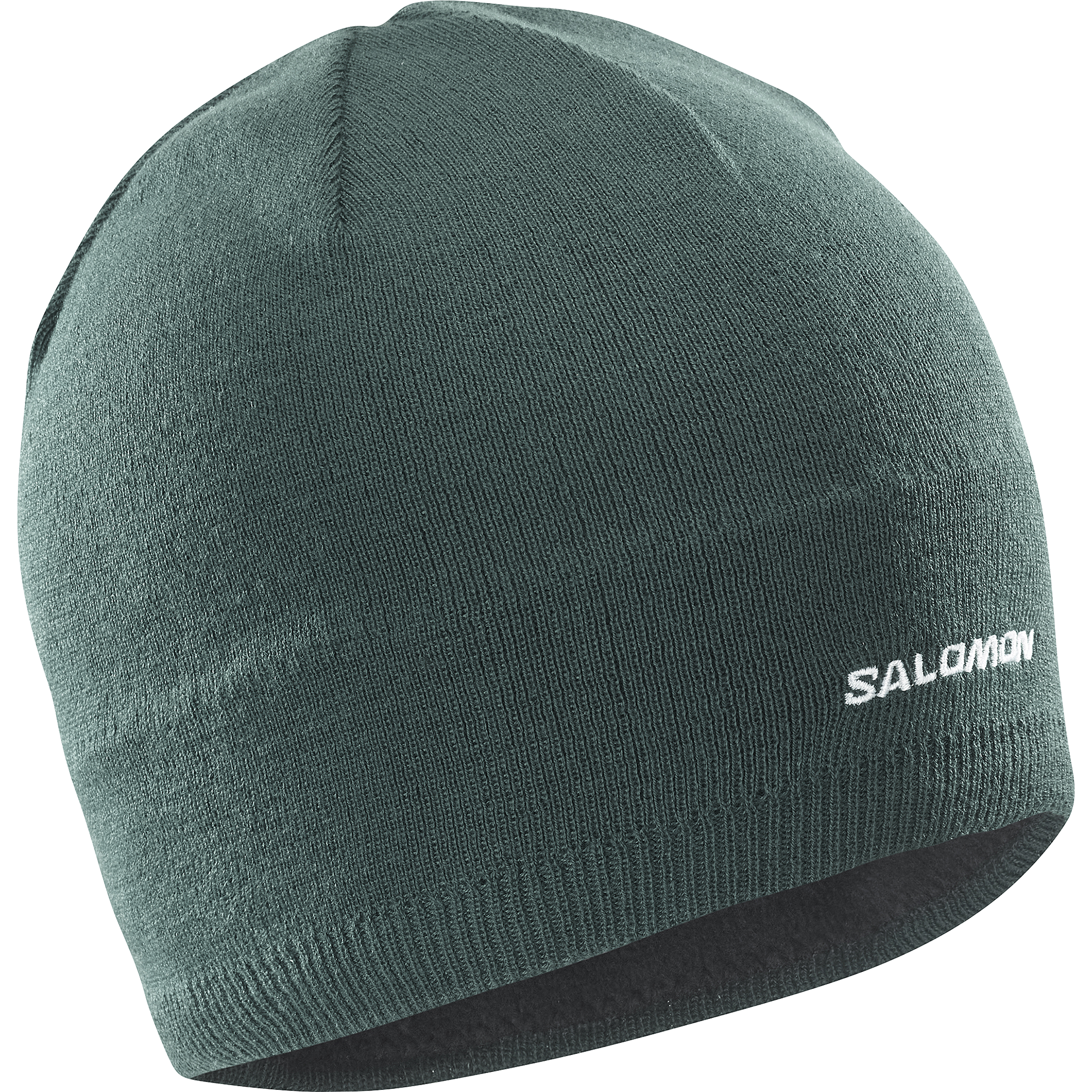 Salomon beanie ビーニー SALOMON/SALOMON BEANIE｜Daytona Park(FREAK'S STORE公式通販)