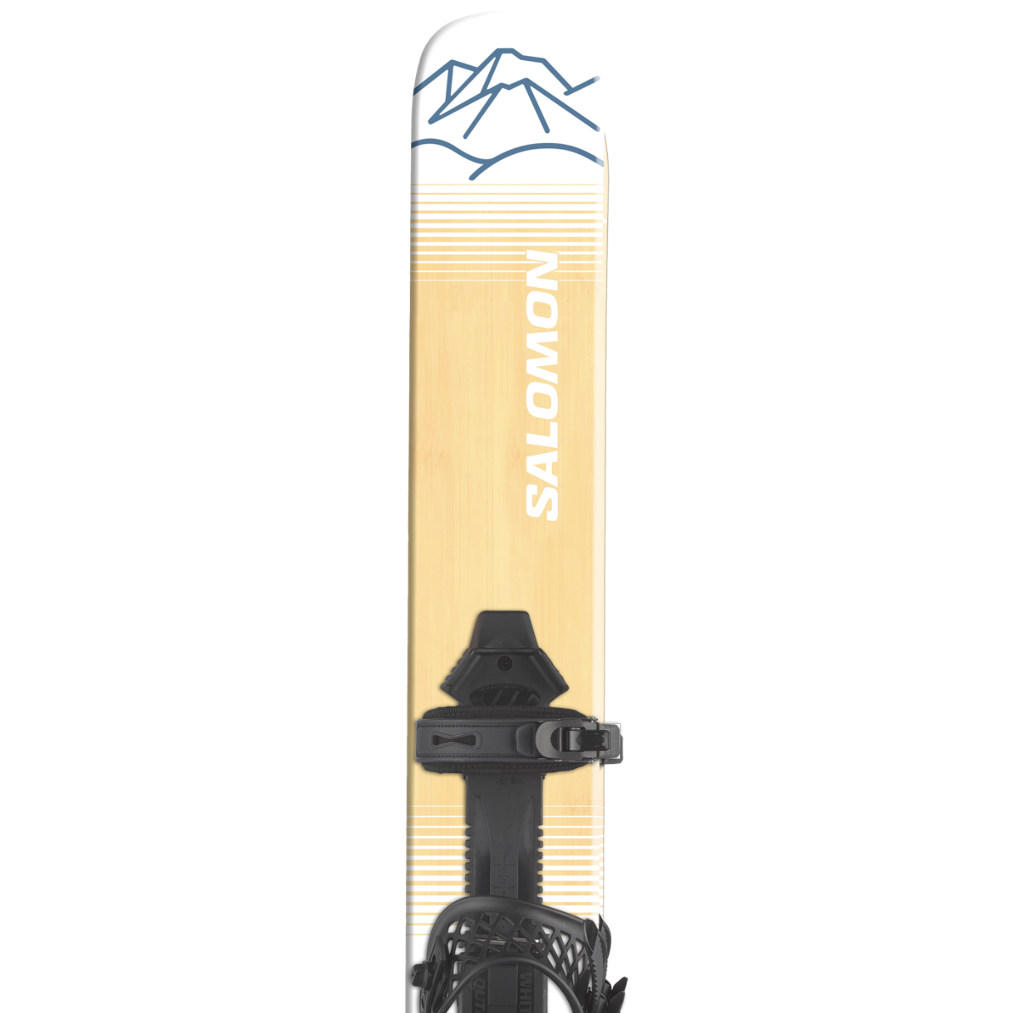 Category Skis