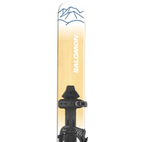 Category Skis