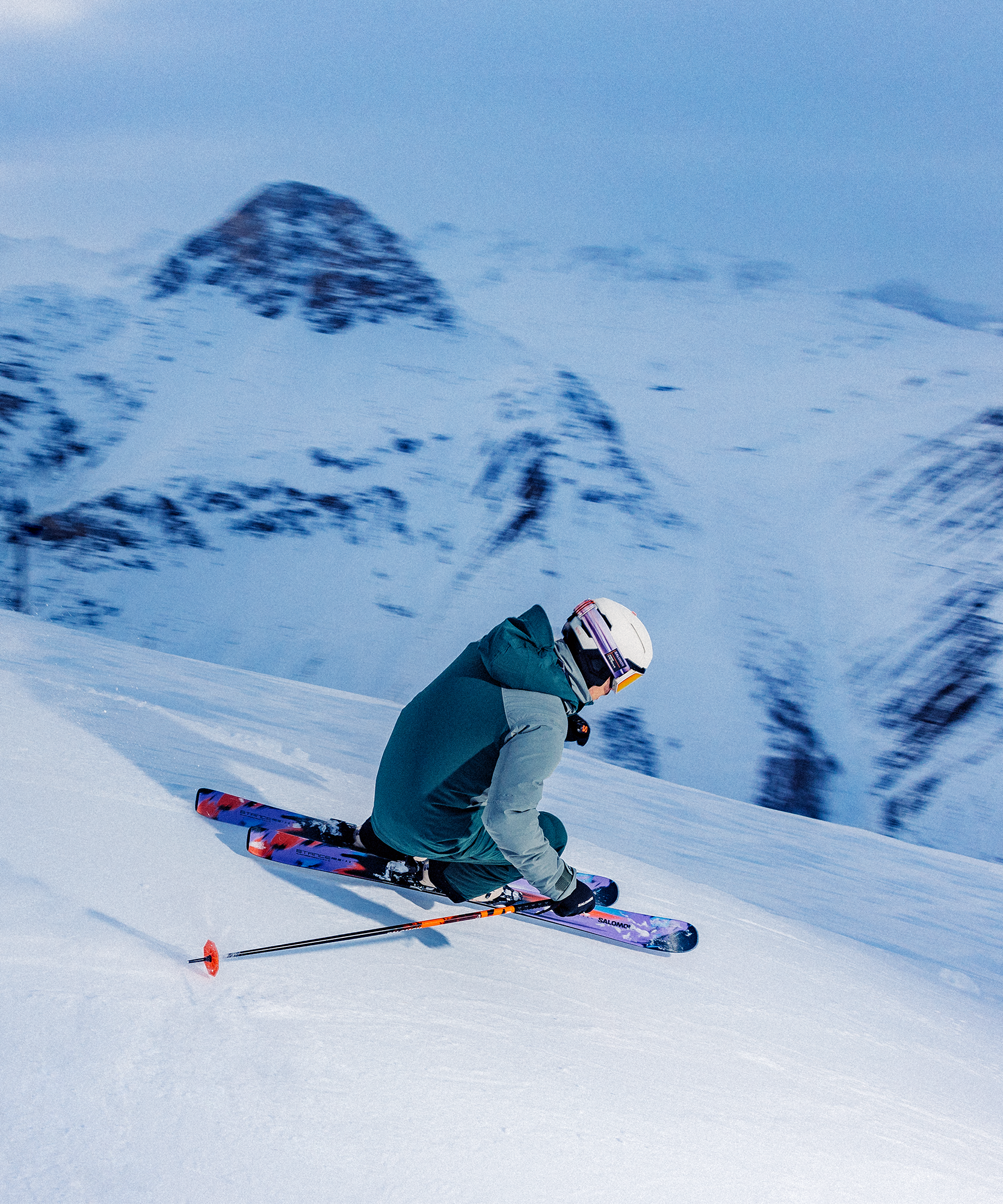 Аксессуары Salomon STANCE PRO 86 — фото 2