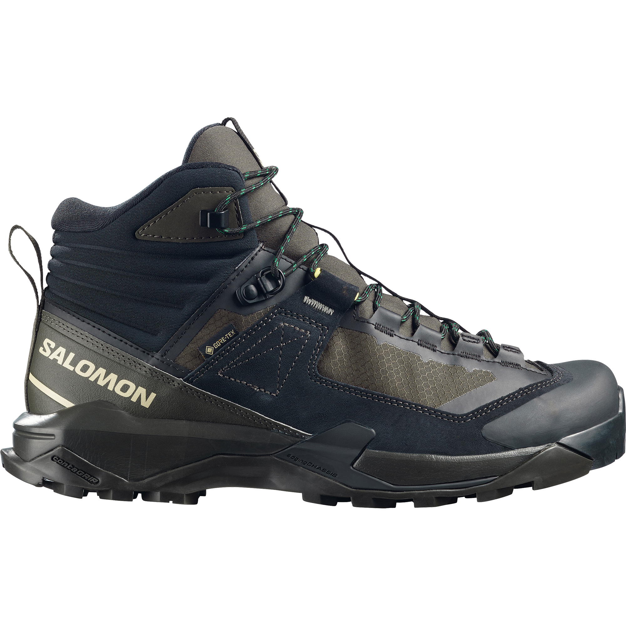 salomon alp gtx forces