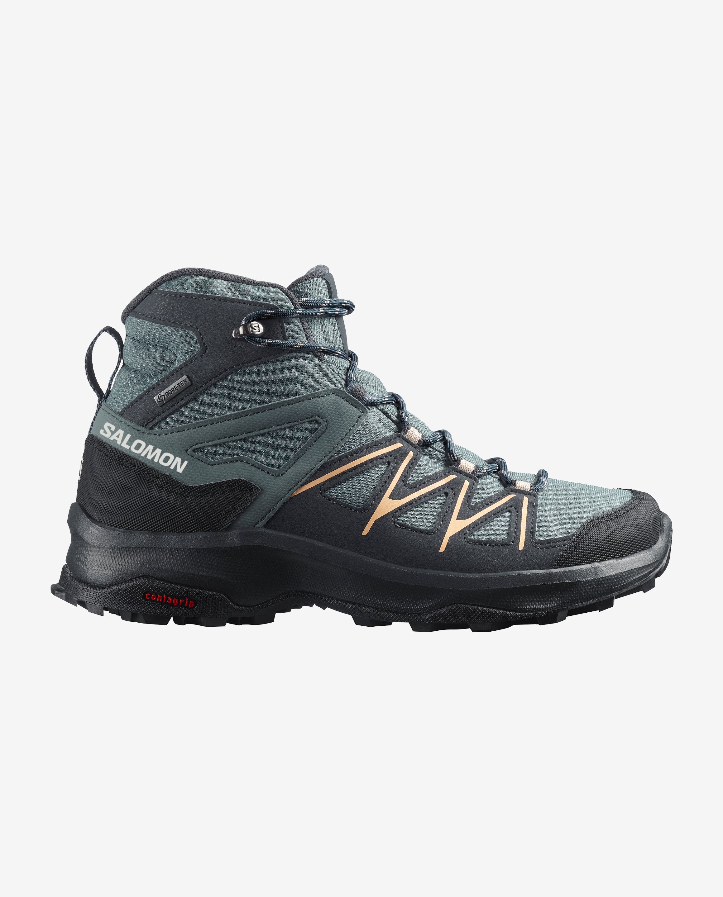 DAINTREE MID GTX W Women Hiking Salomon - Main Image