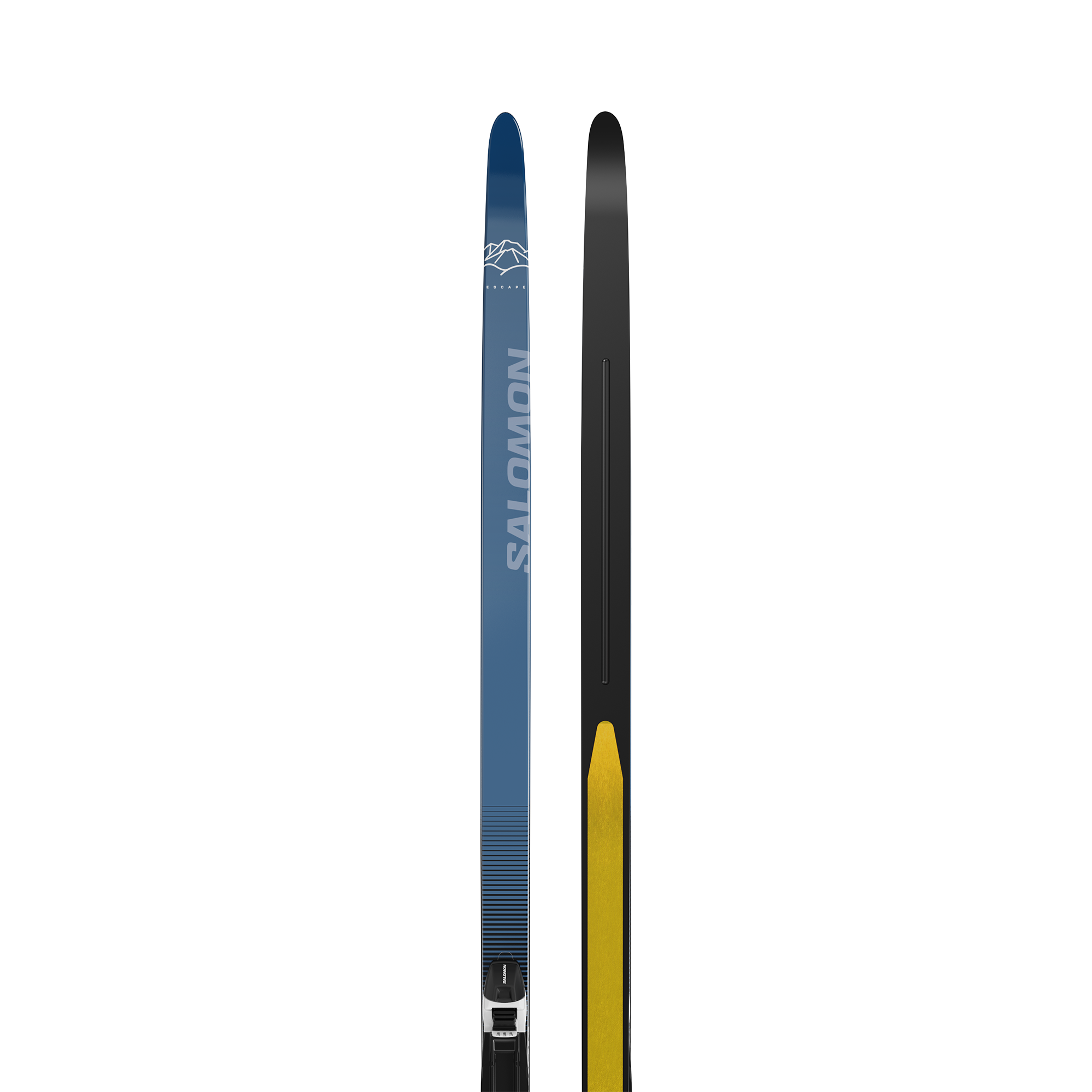 Category Ski