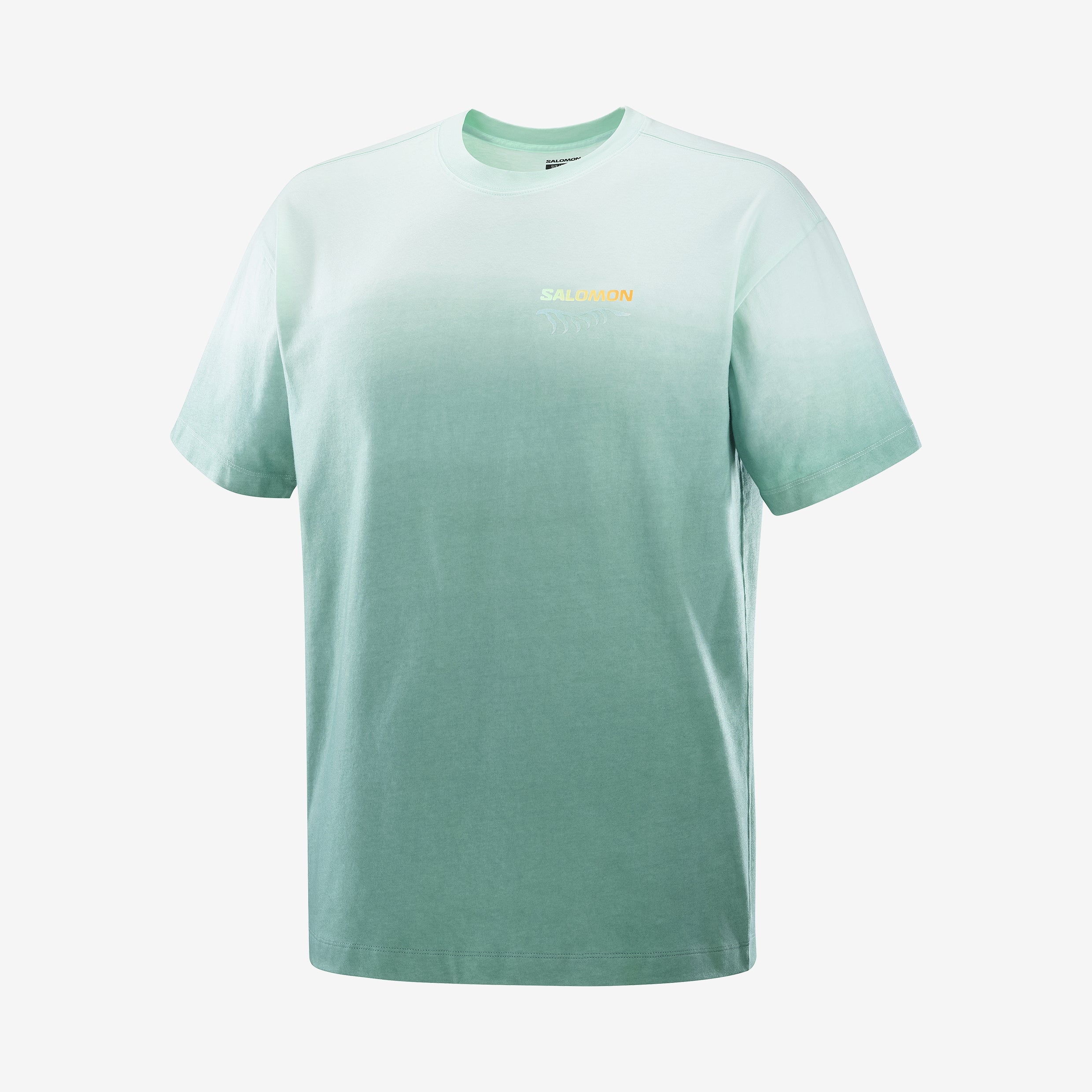 SHORTNEY SS TEE U Unisex Short Sleeve T-Shirt | Salomon SHORTNEY SS TEE U Unisex Short Sleeve T-Shirt | Salomon