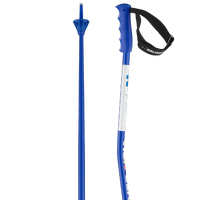 Category Skikjøring