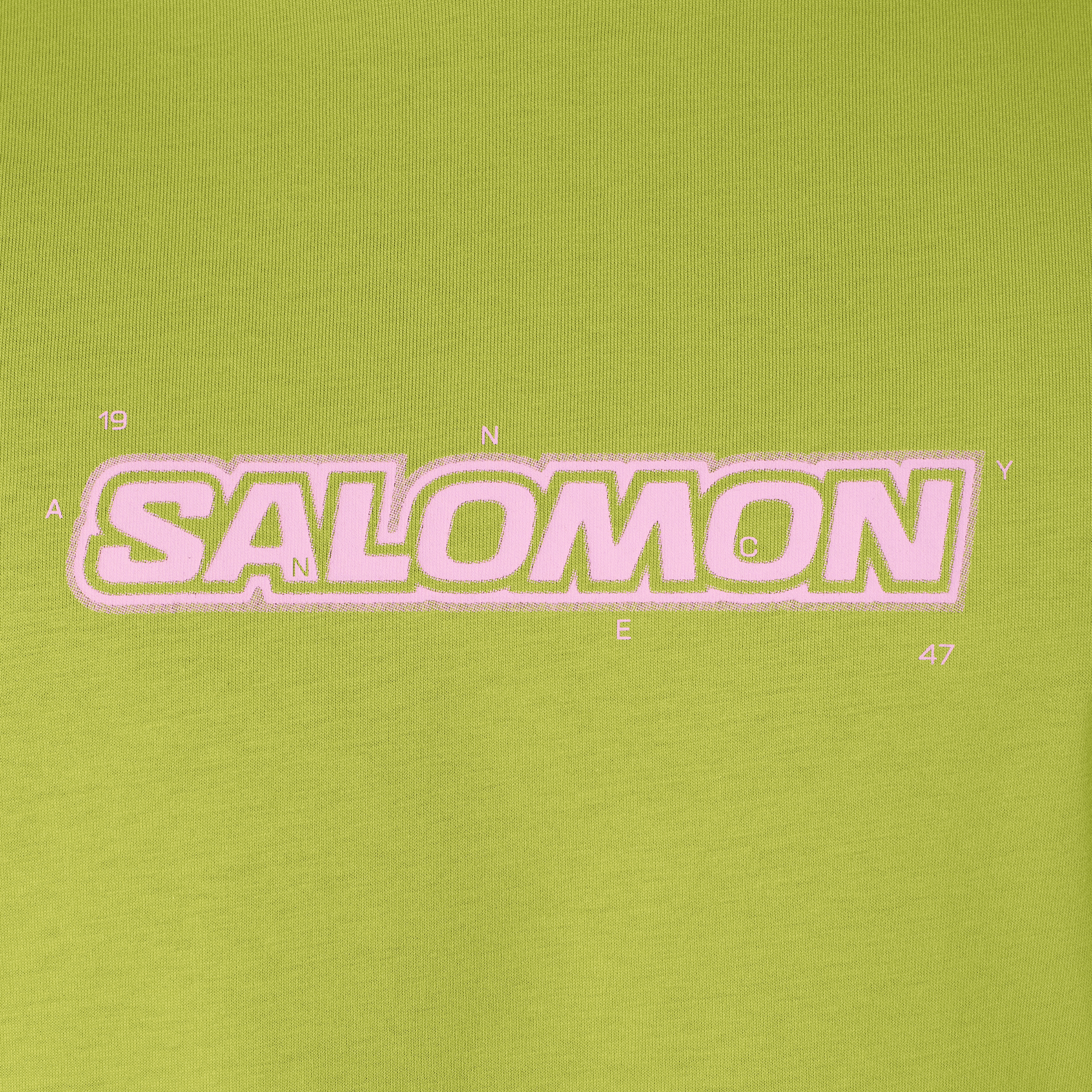 Мужская футболка Salomon Brandplay — фото 2