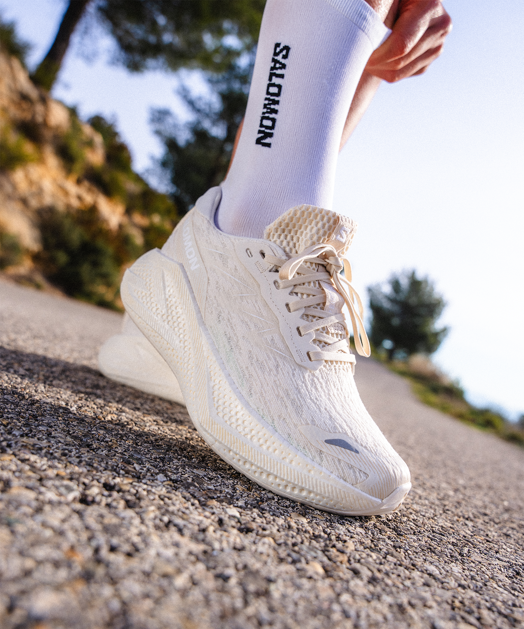 Salomon Aero Glide 4 W au meilleur prix