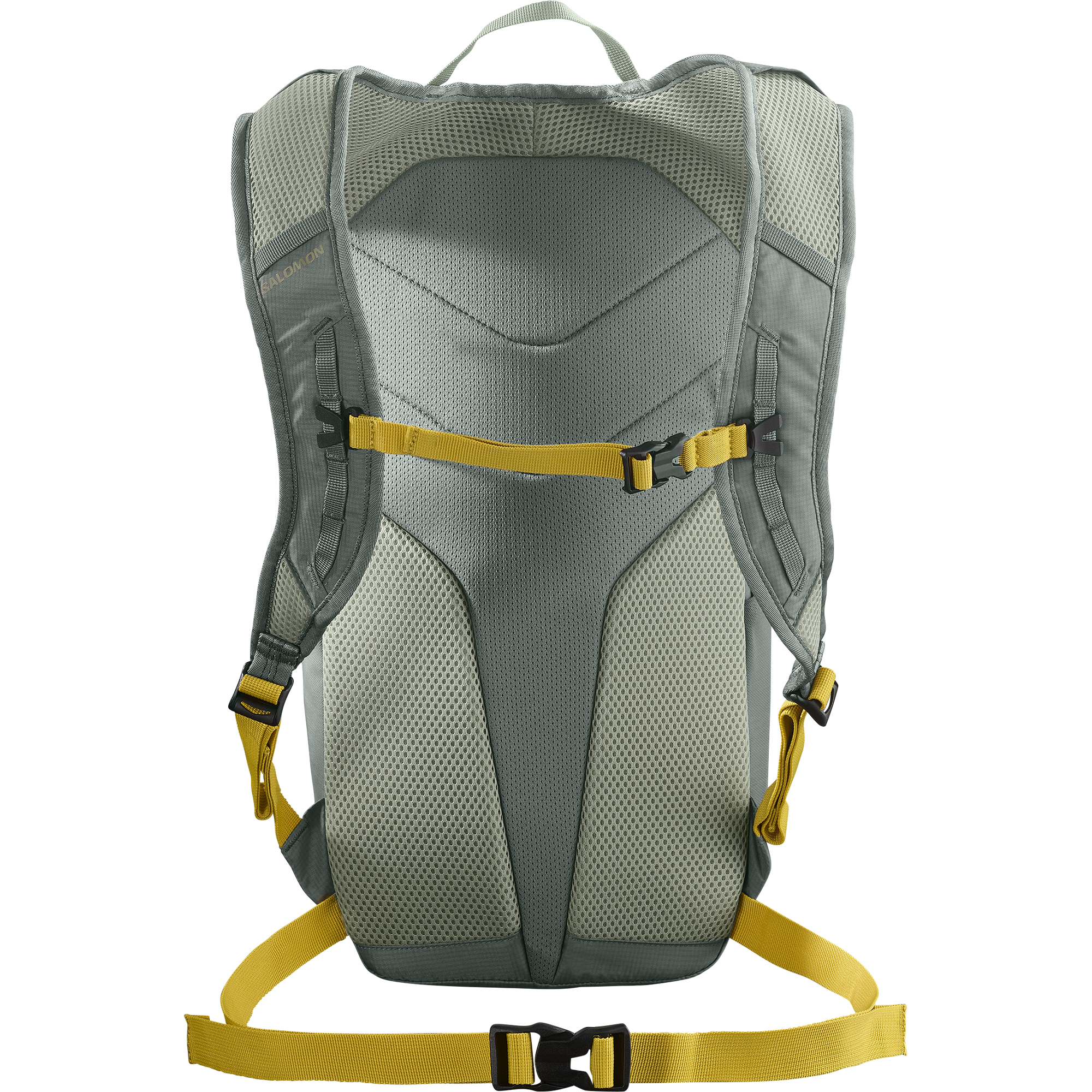 TRAILBLAZER 10 Green | Salomon