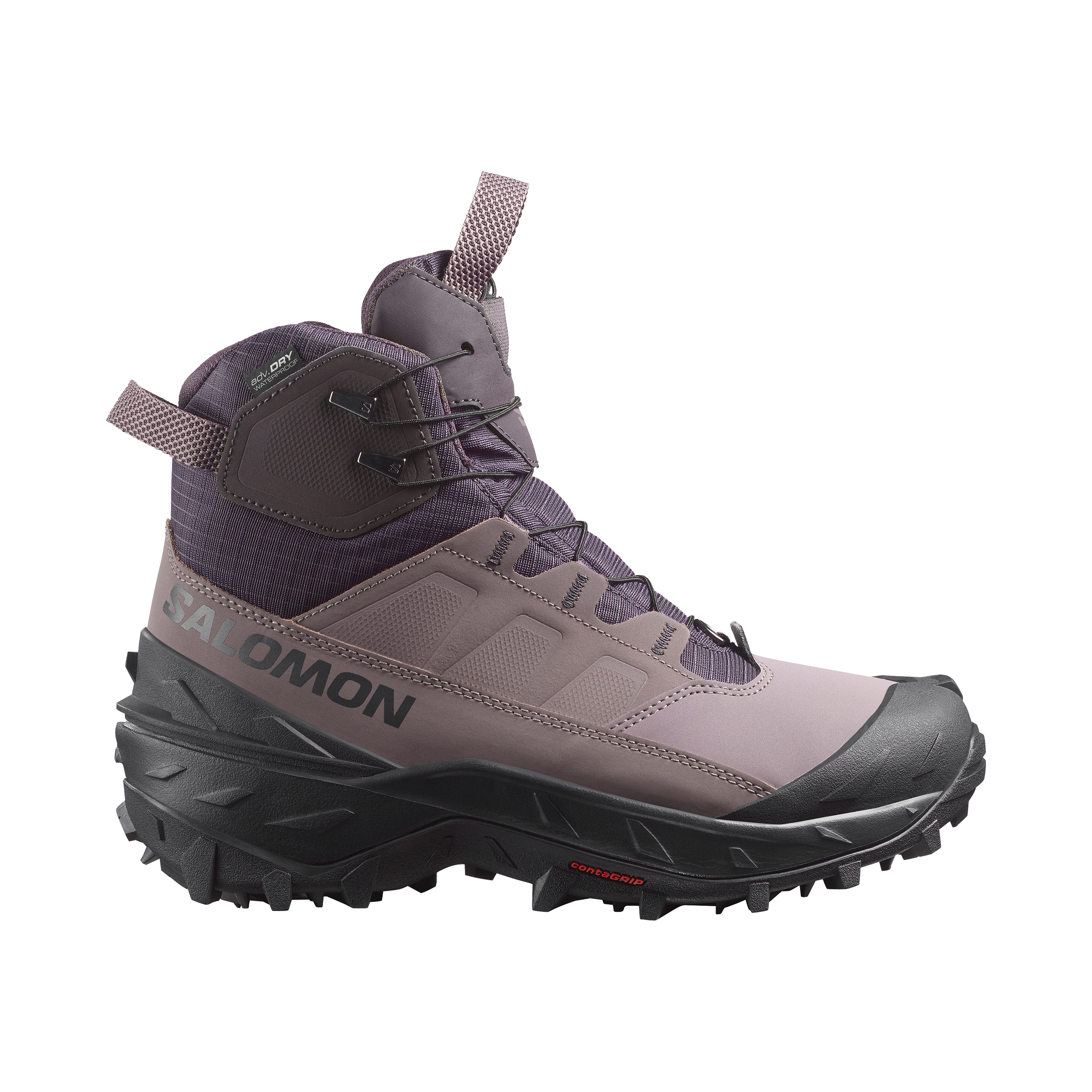 スキー 171 LACROIX LX POWDER + SALOMON 171 LACROIX LX POWDER + SALOMON