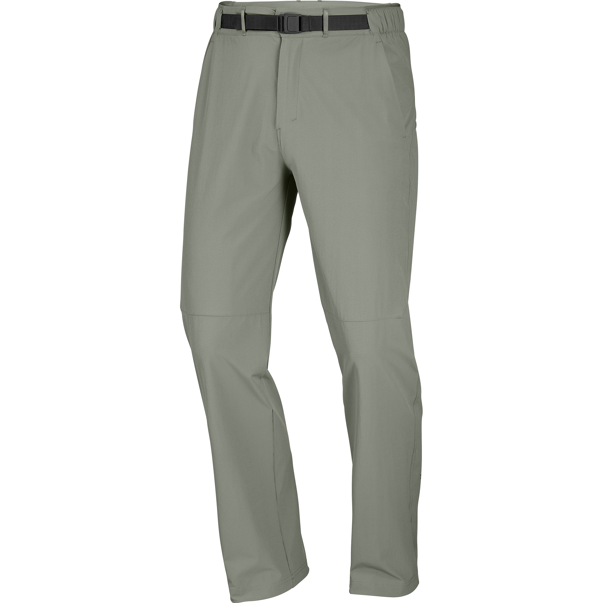 Castor Gray