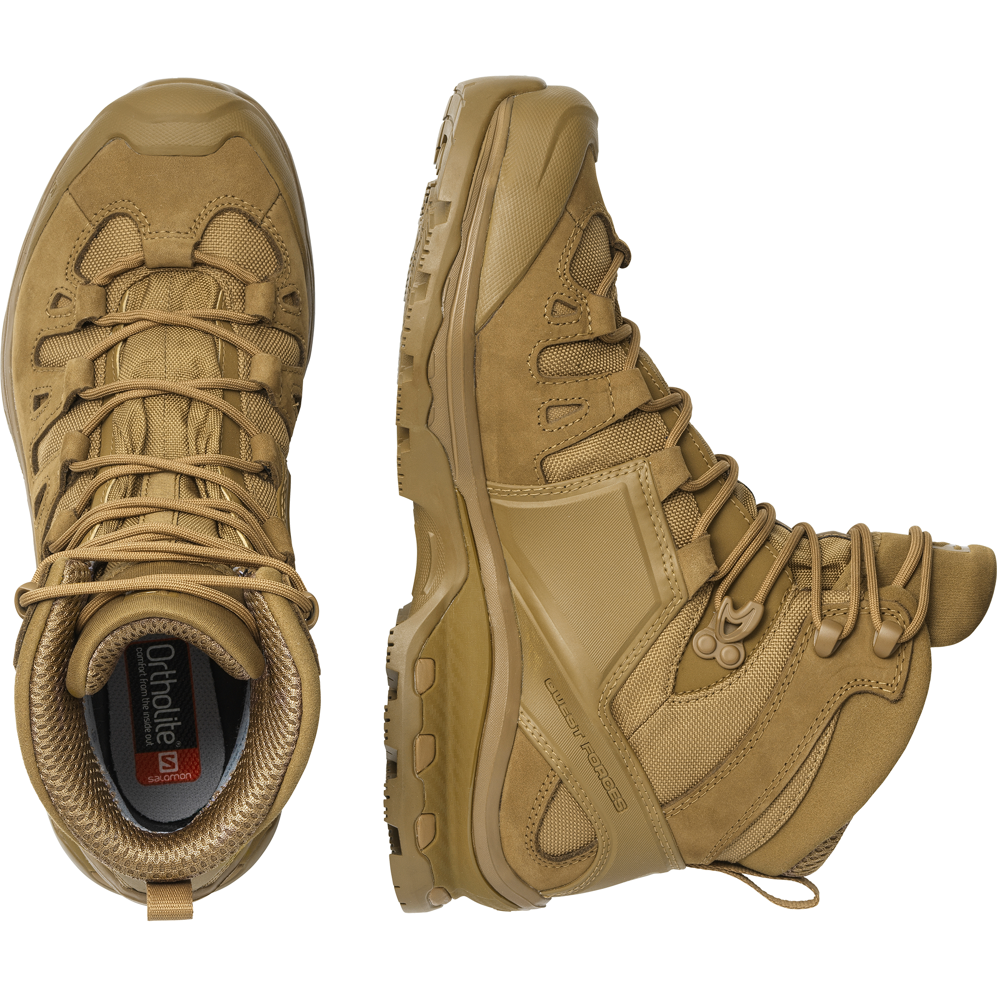 QUEST 4D GORE-TEX FORCES 2 Brown | Salomon