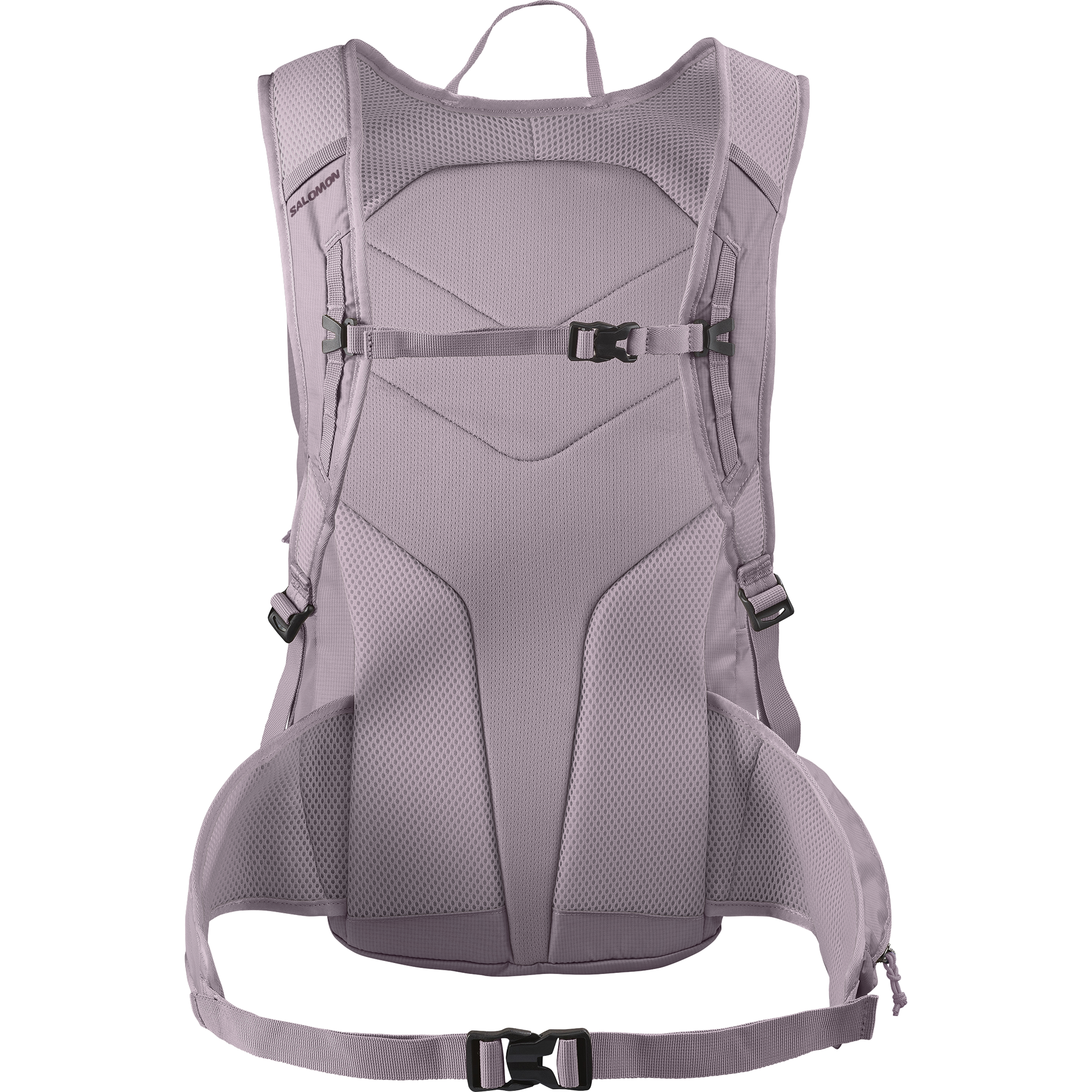 TRAILBLAZER 20 Purple | Salomon