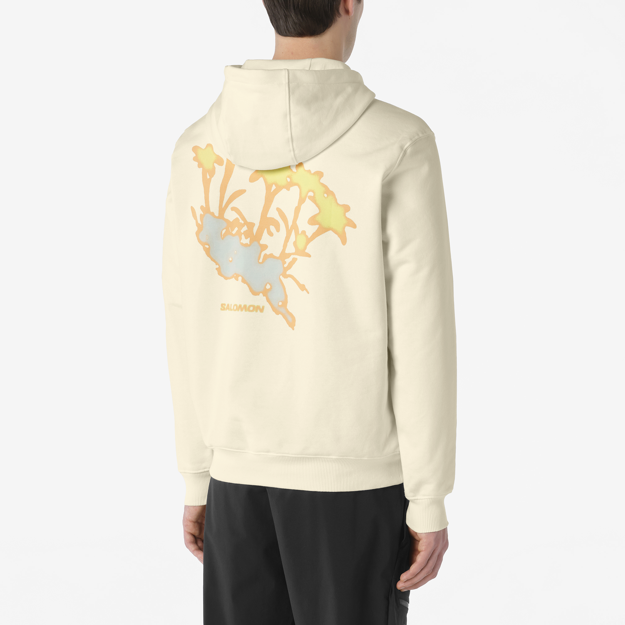 ALPEN BLOSSOM Unisex Hooded Pullover | Salomon