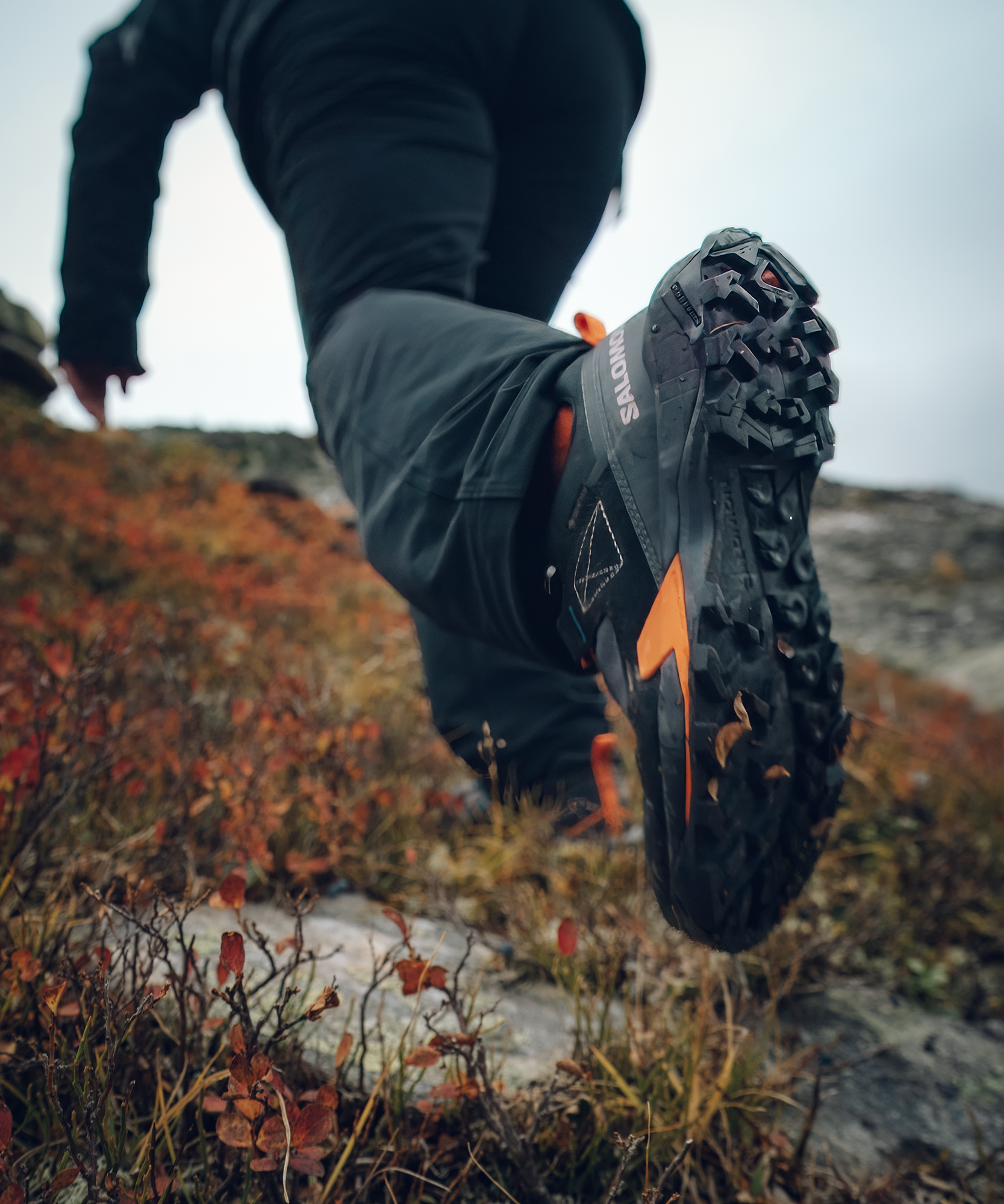 Мужские кроссовки Salomon X Ultra Alpine GORE-TEX — фото 9
