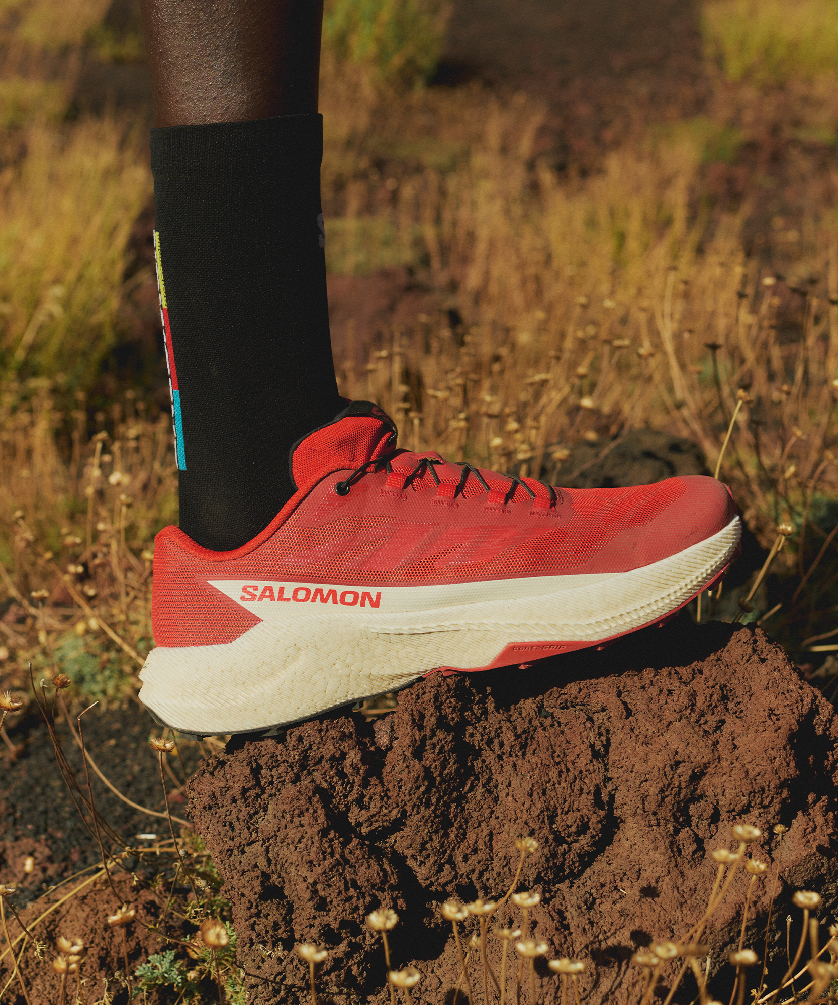 PULSAR Red | Salomon