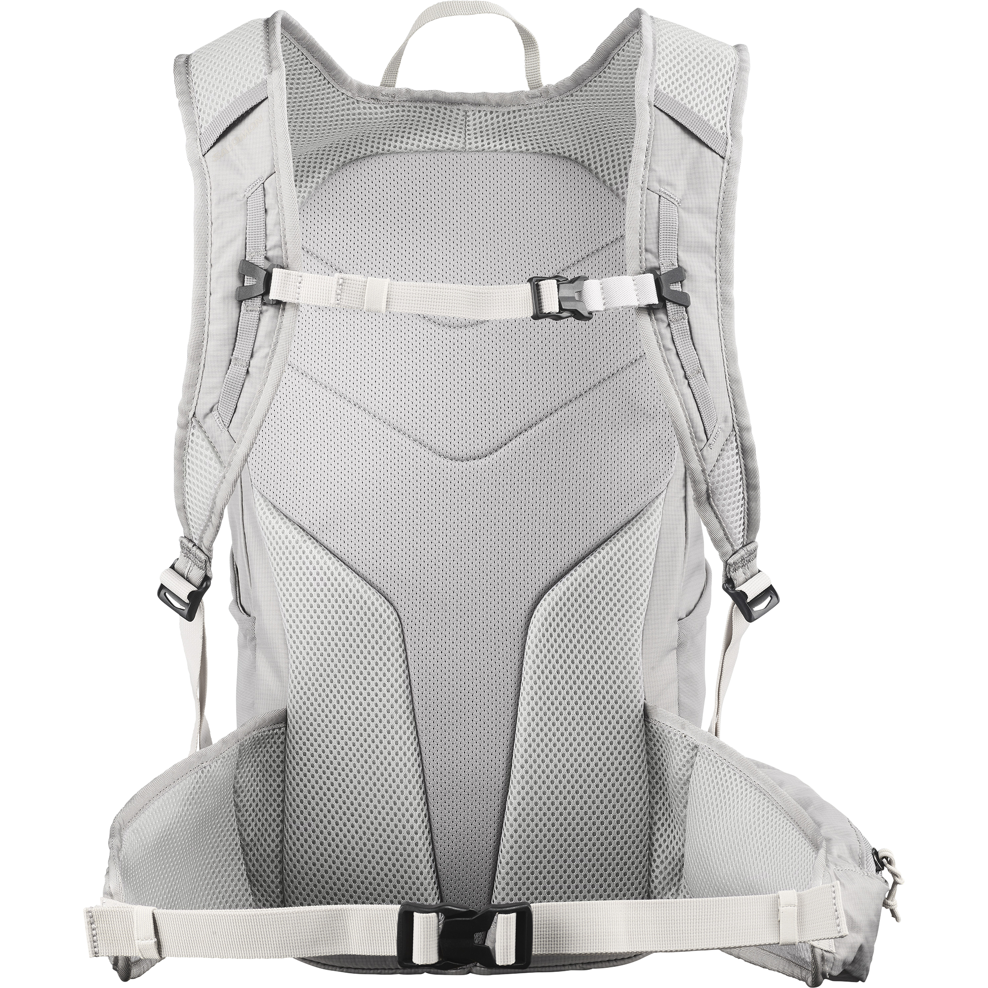TRAILBLAZER 20 Grey | Salomon